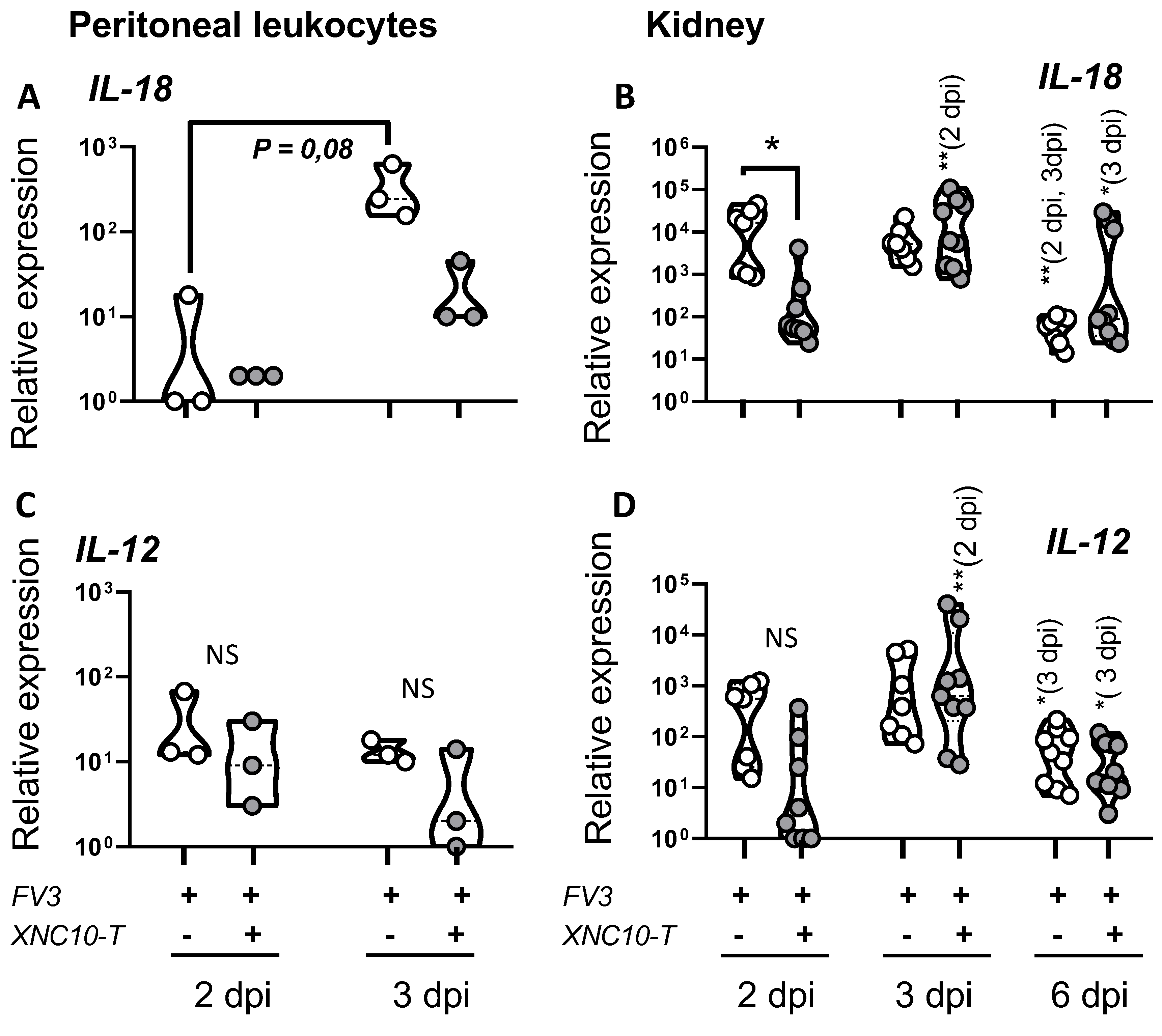 Viruses 11 00330 g008