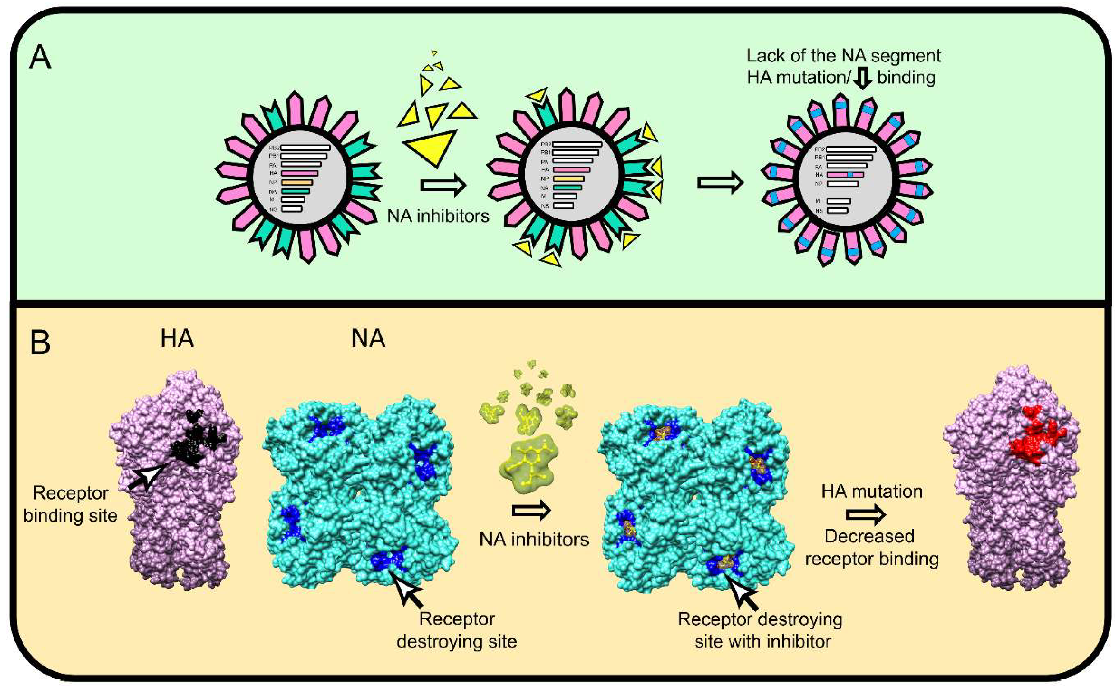 Viruses 11 00346 g003 Viruses 11 00346 g003