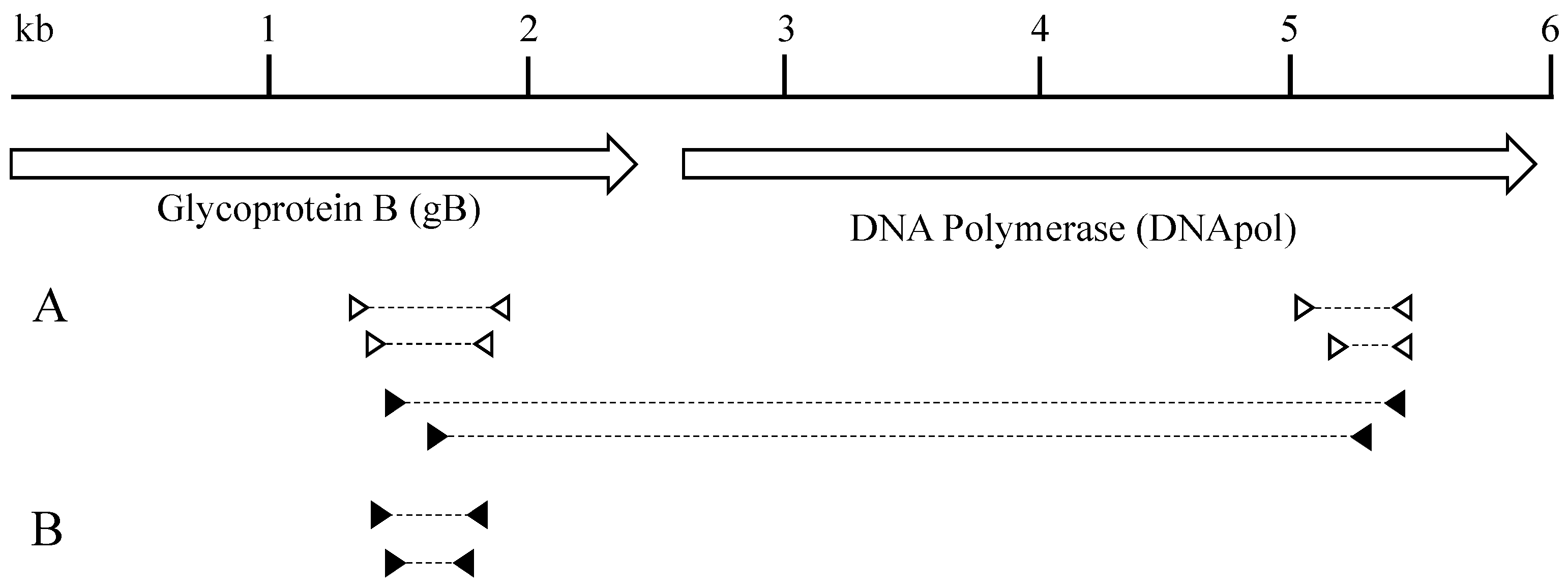 Viruses 11 00363 g001 Viruses 11 00363 g001