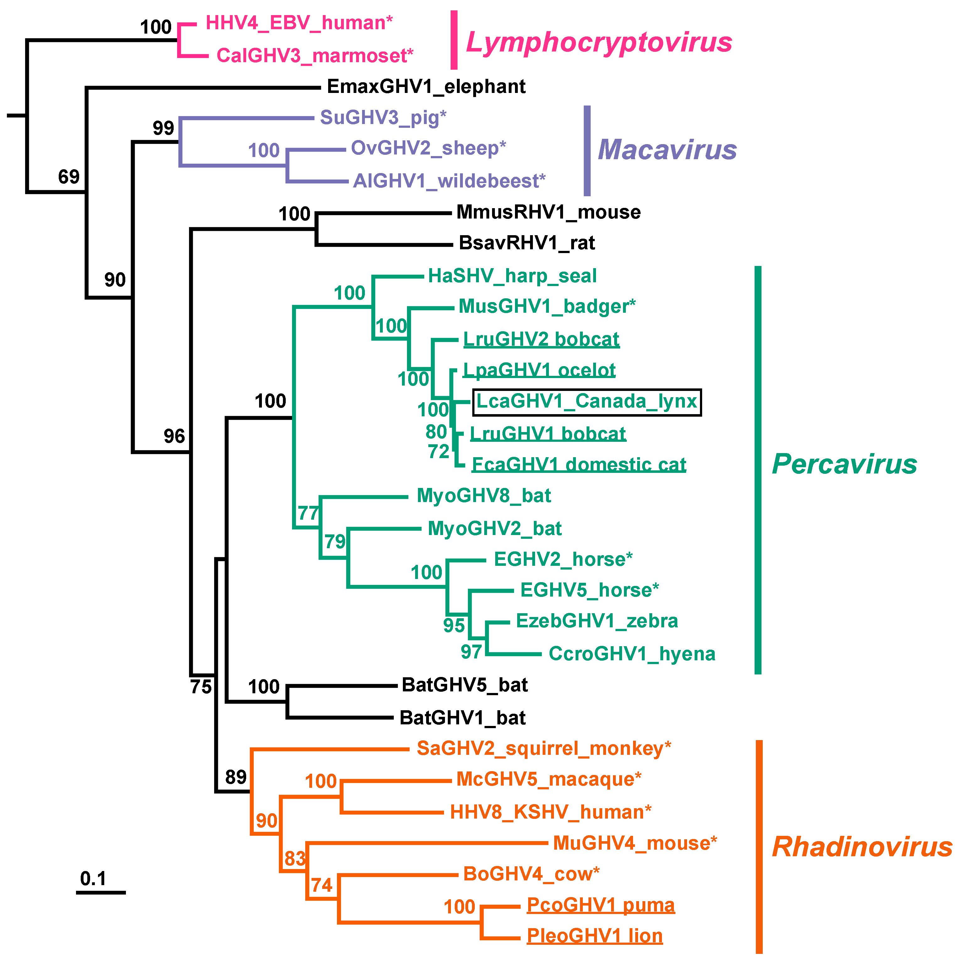 Viruses 11 00363 g004 Viruses 11 00363 g004