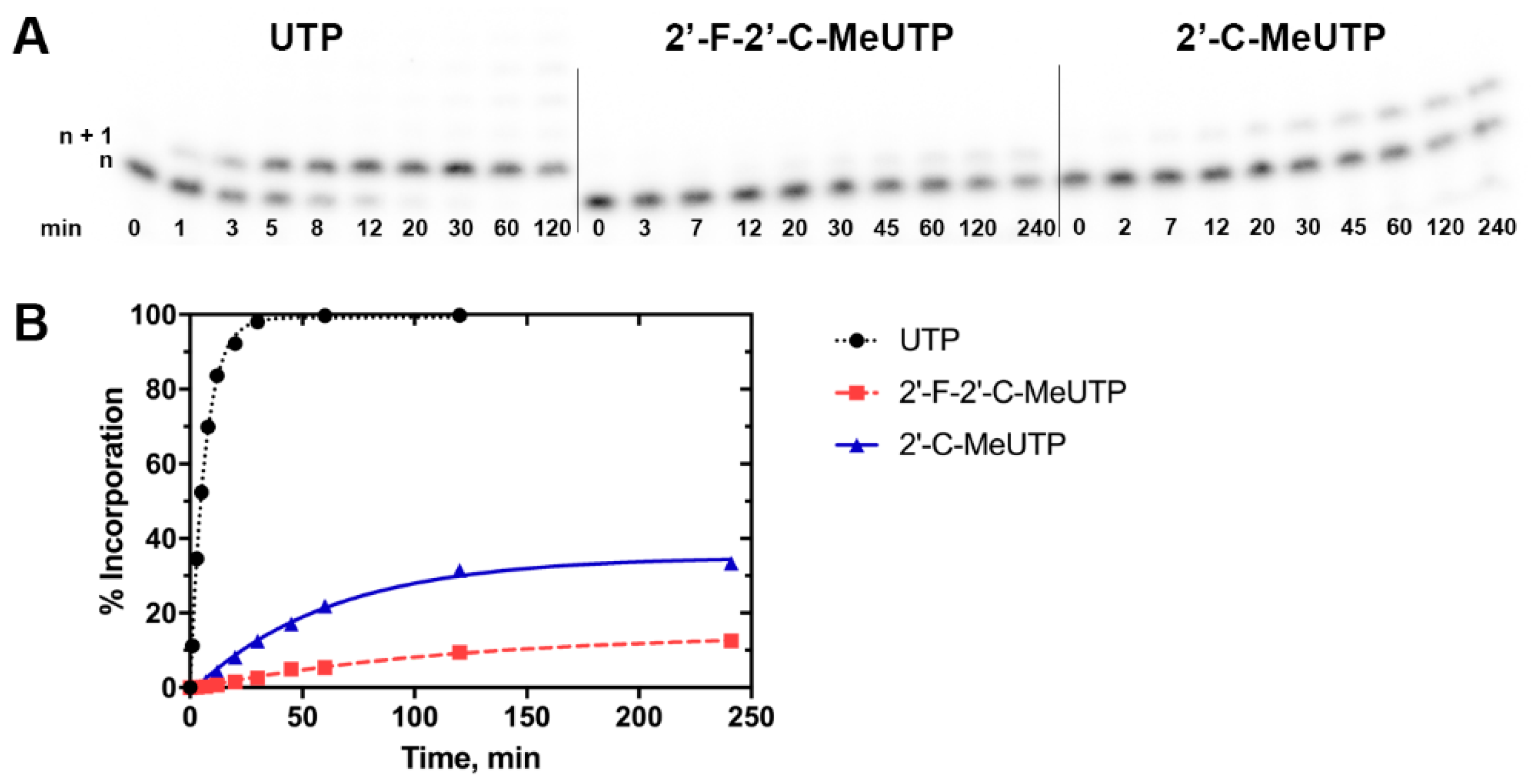 Viruses 11 00365 g004