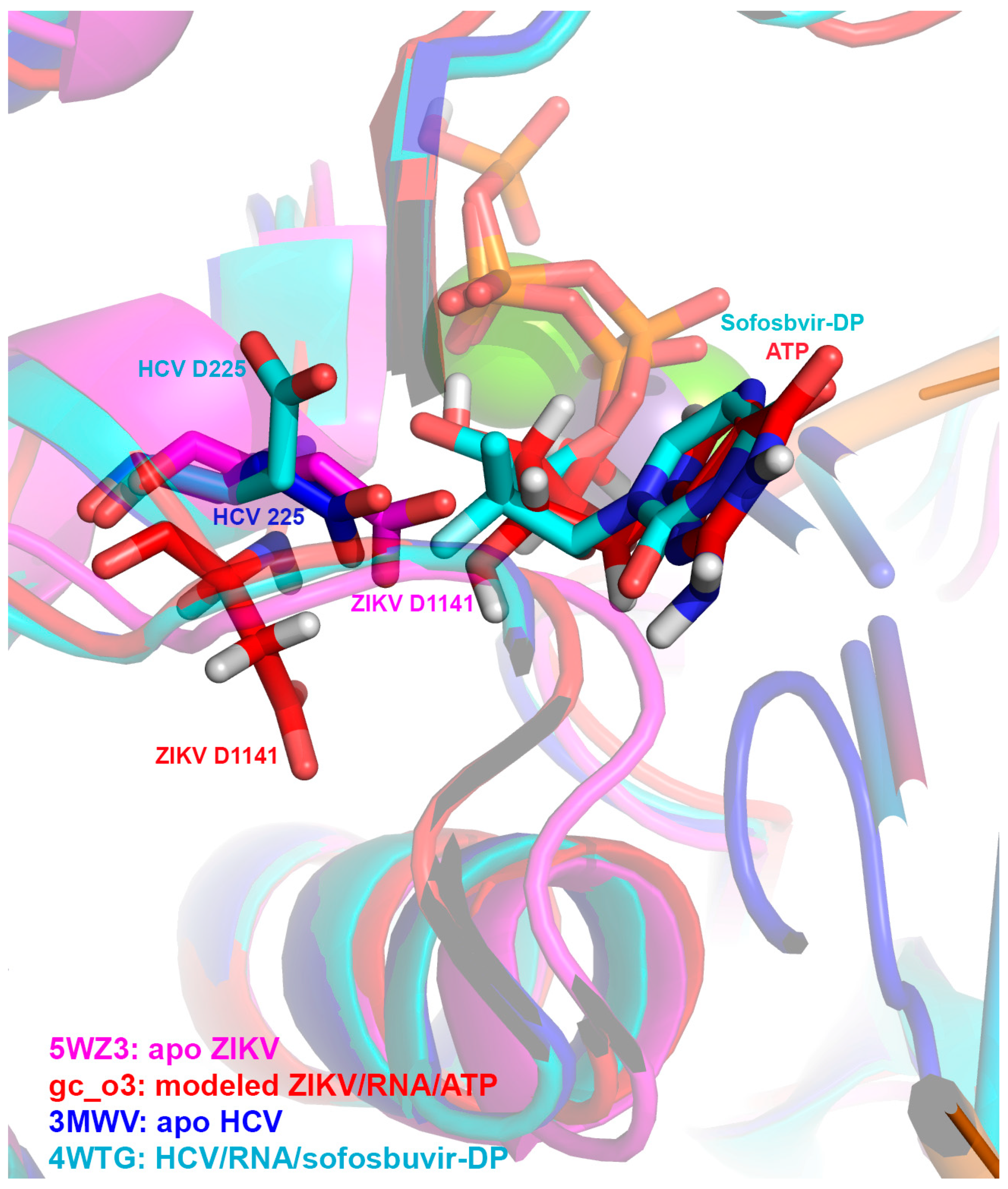 Viruses 11 00365 g005