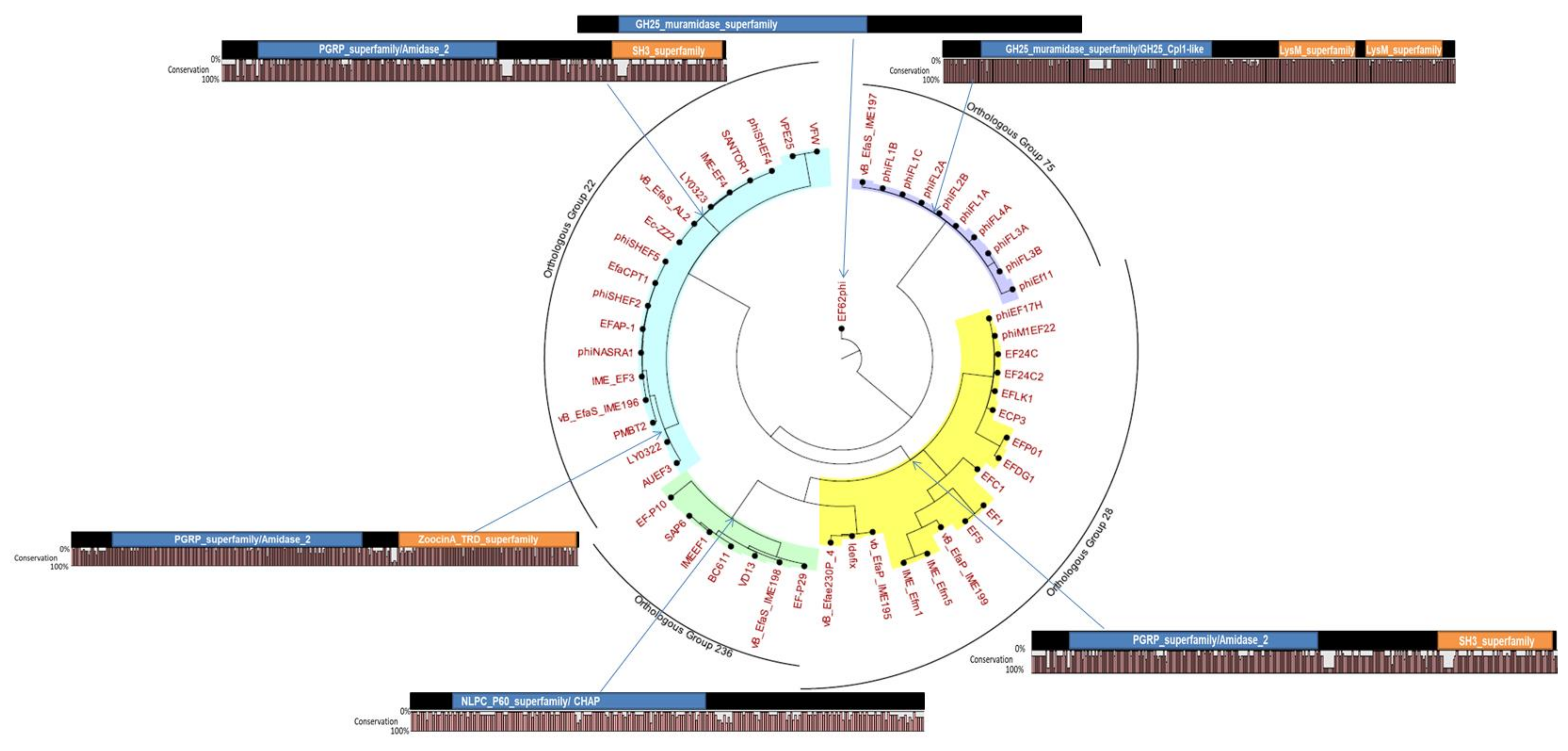 Viruses 11 00366 g003