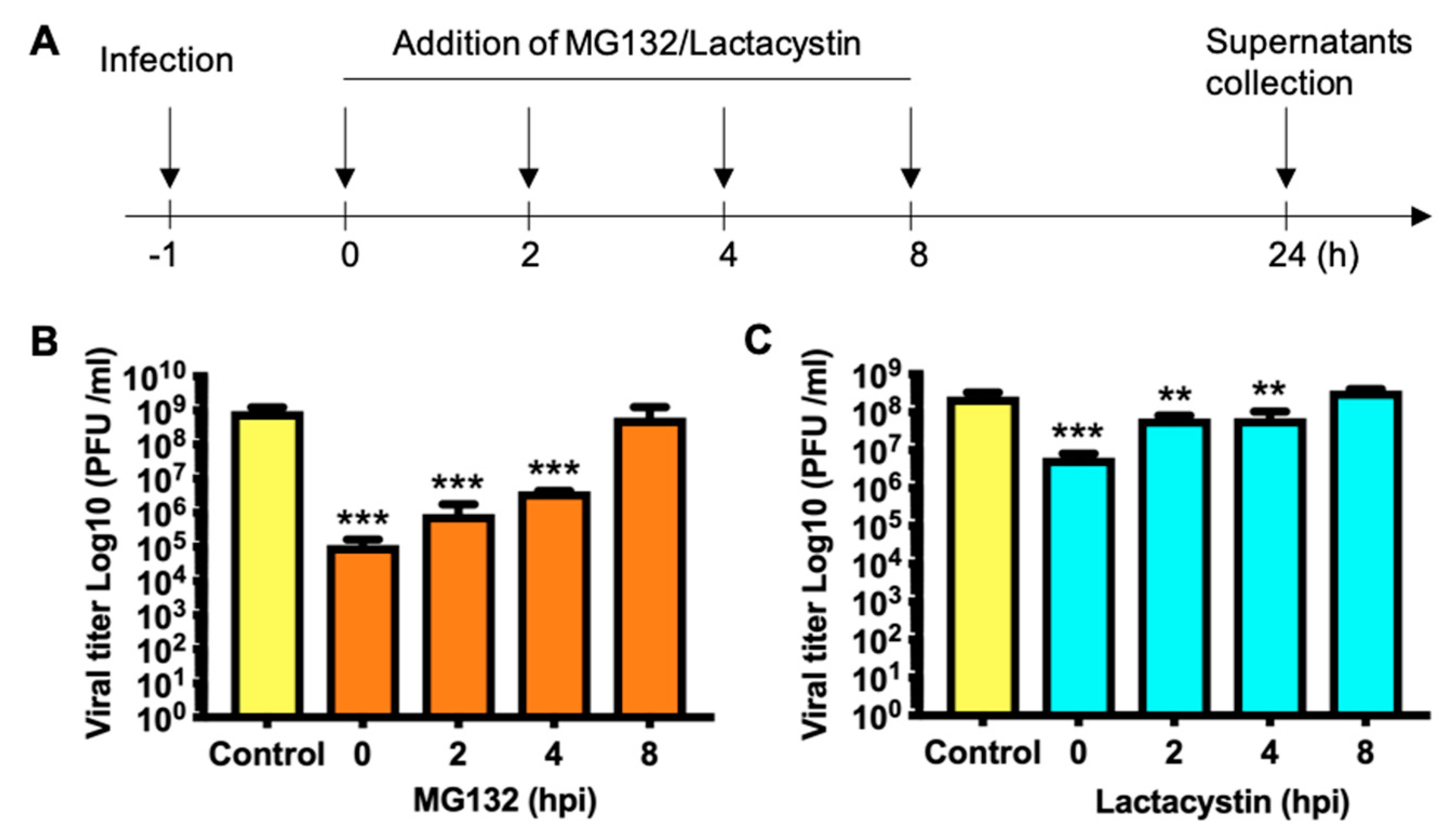 Viruses 11 00370 g004