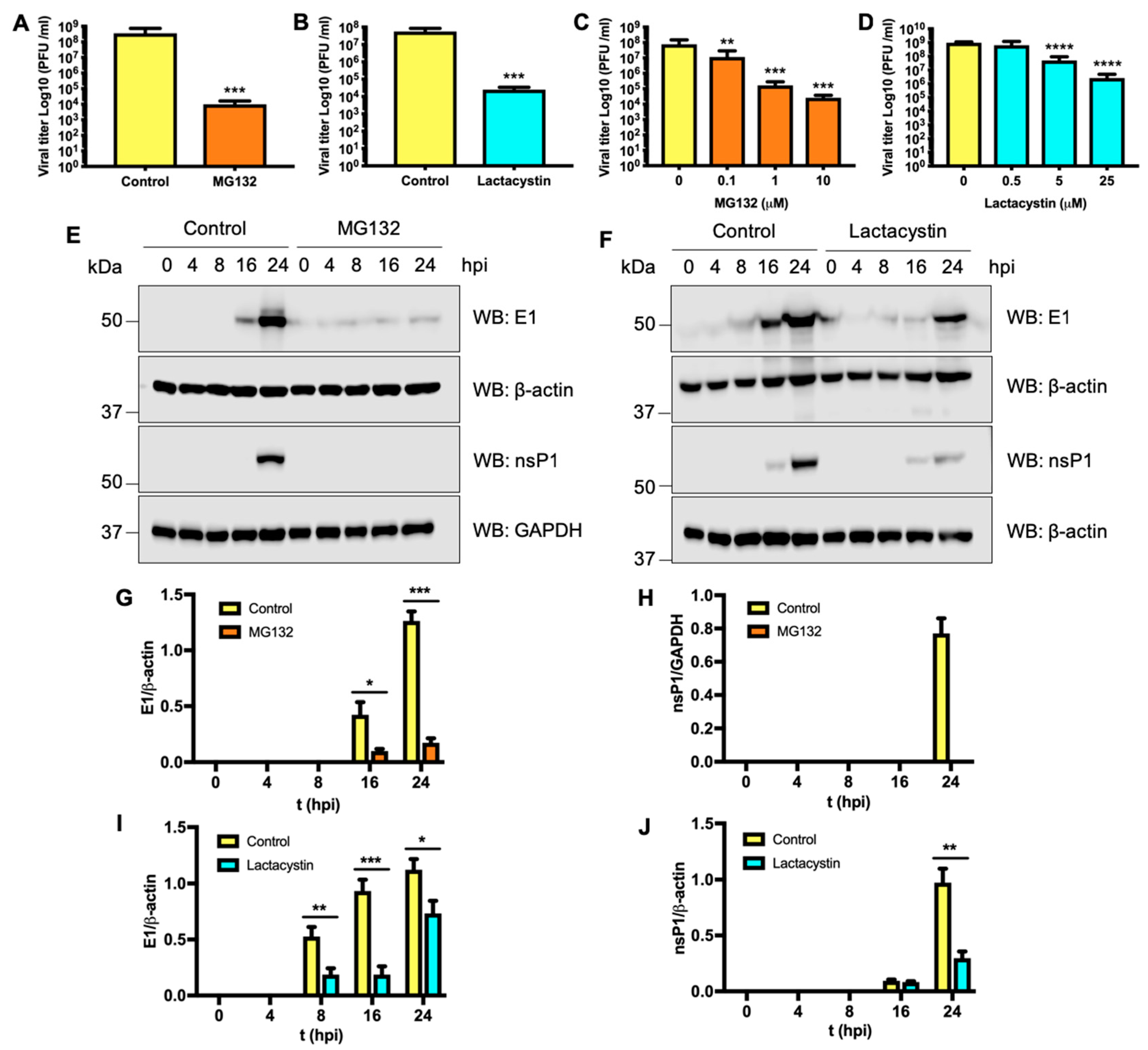 Viruses 11 00370 g006