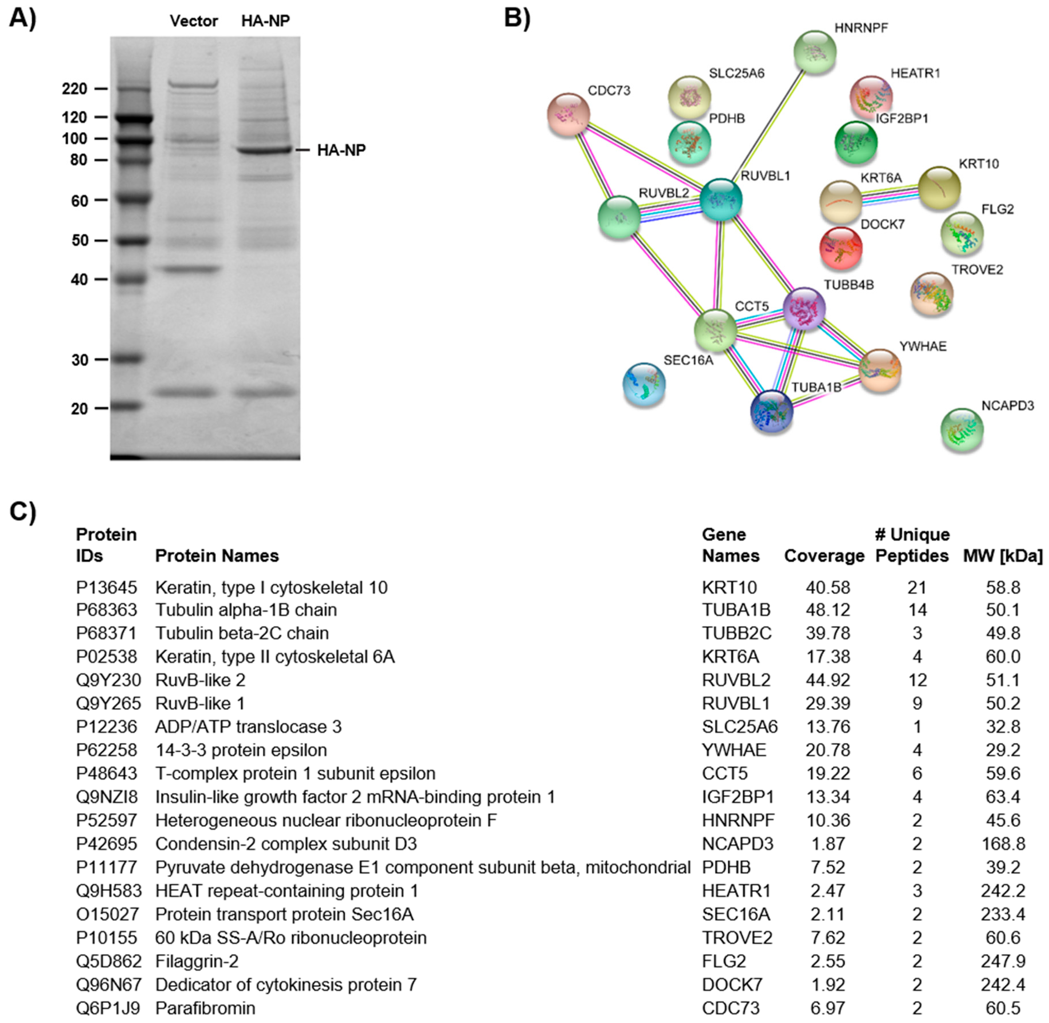 Viruses 11 00372 g001