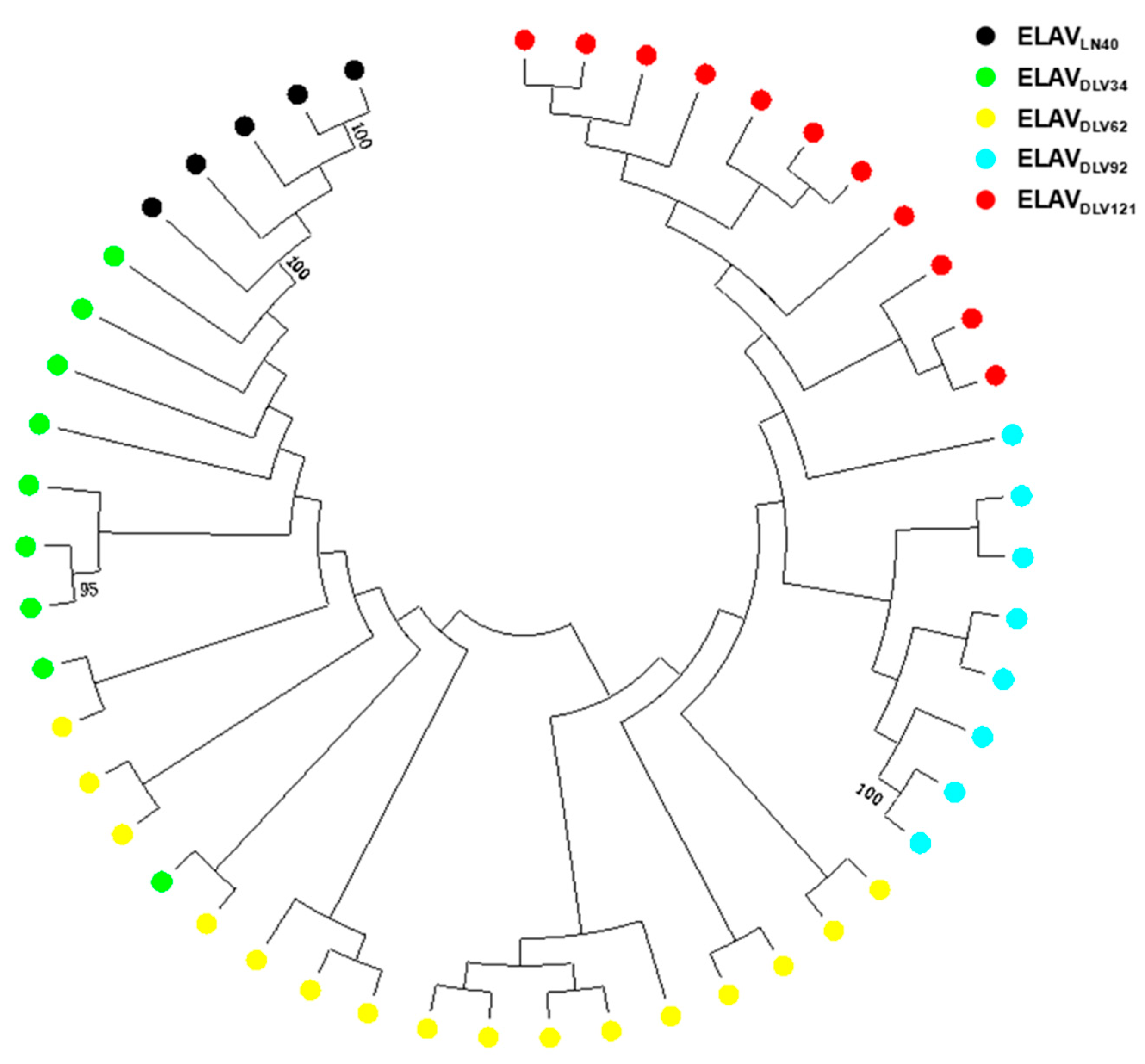 Viruses 11 00380 g001