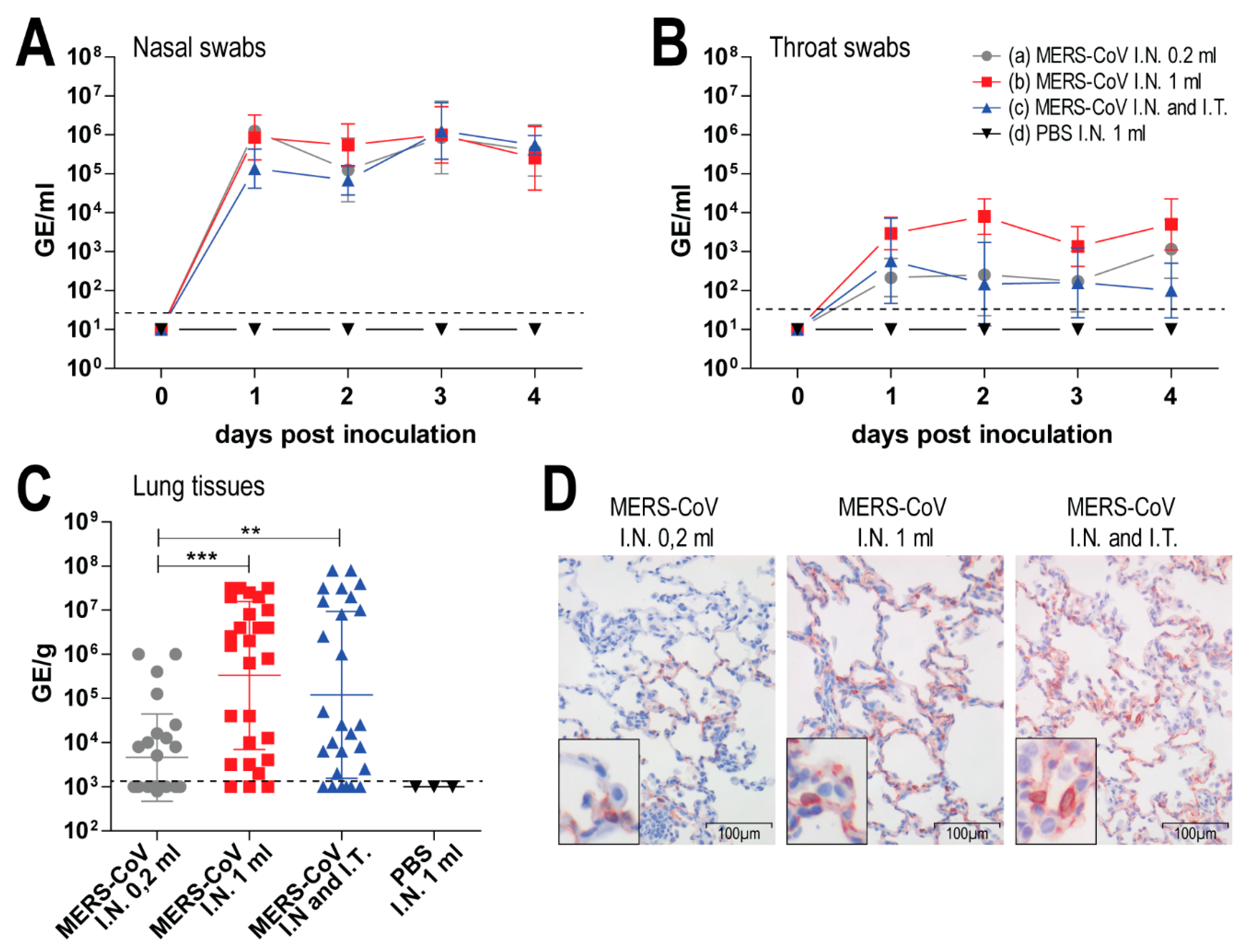 Viruses 11 00381 g002 Viruses 11 00381 g002