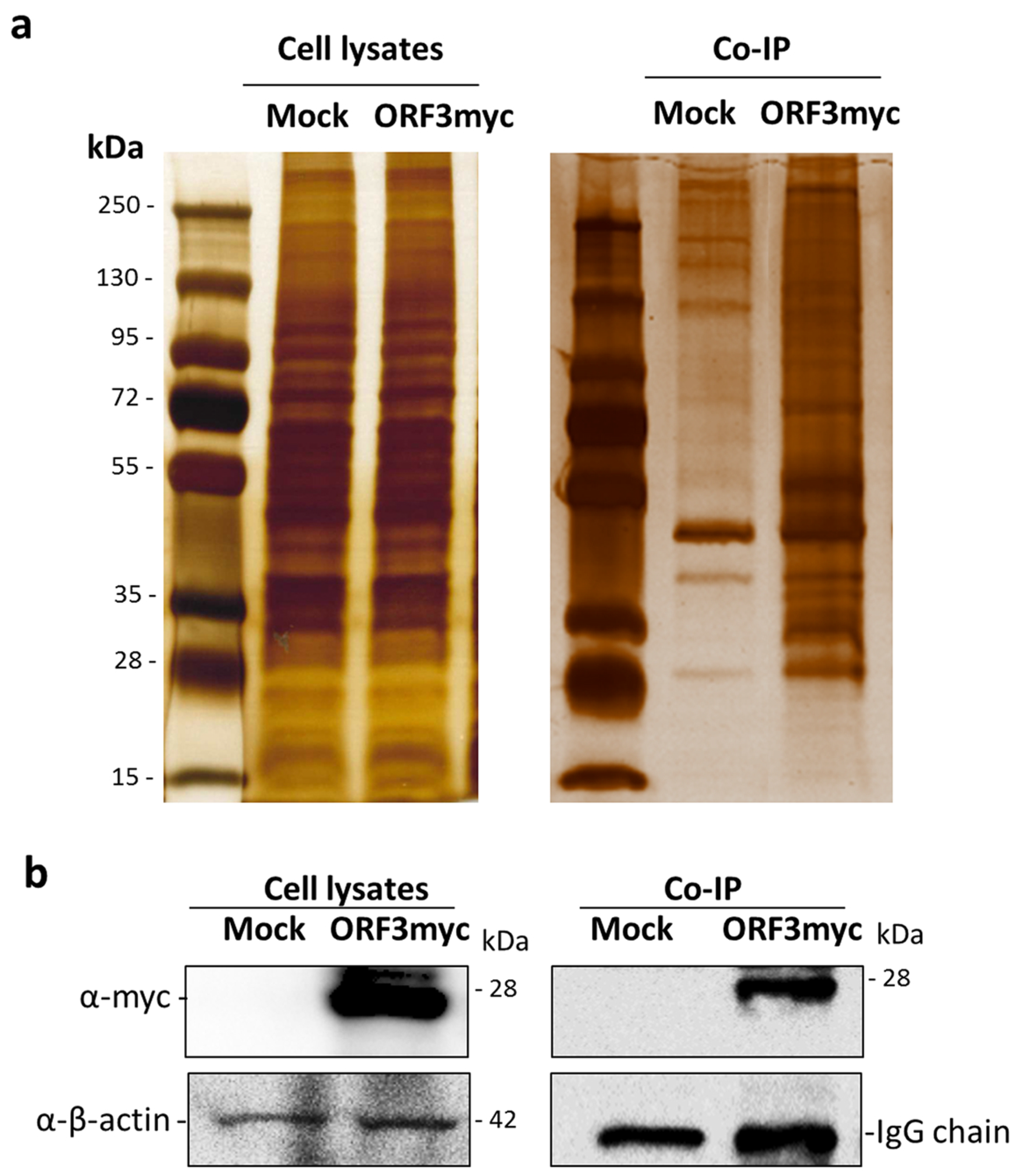 Viruses 11 00382 g001