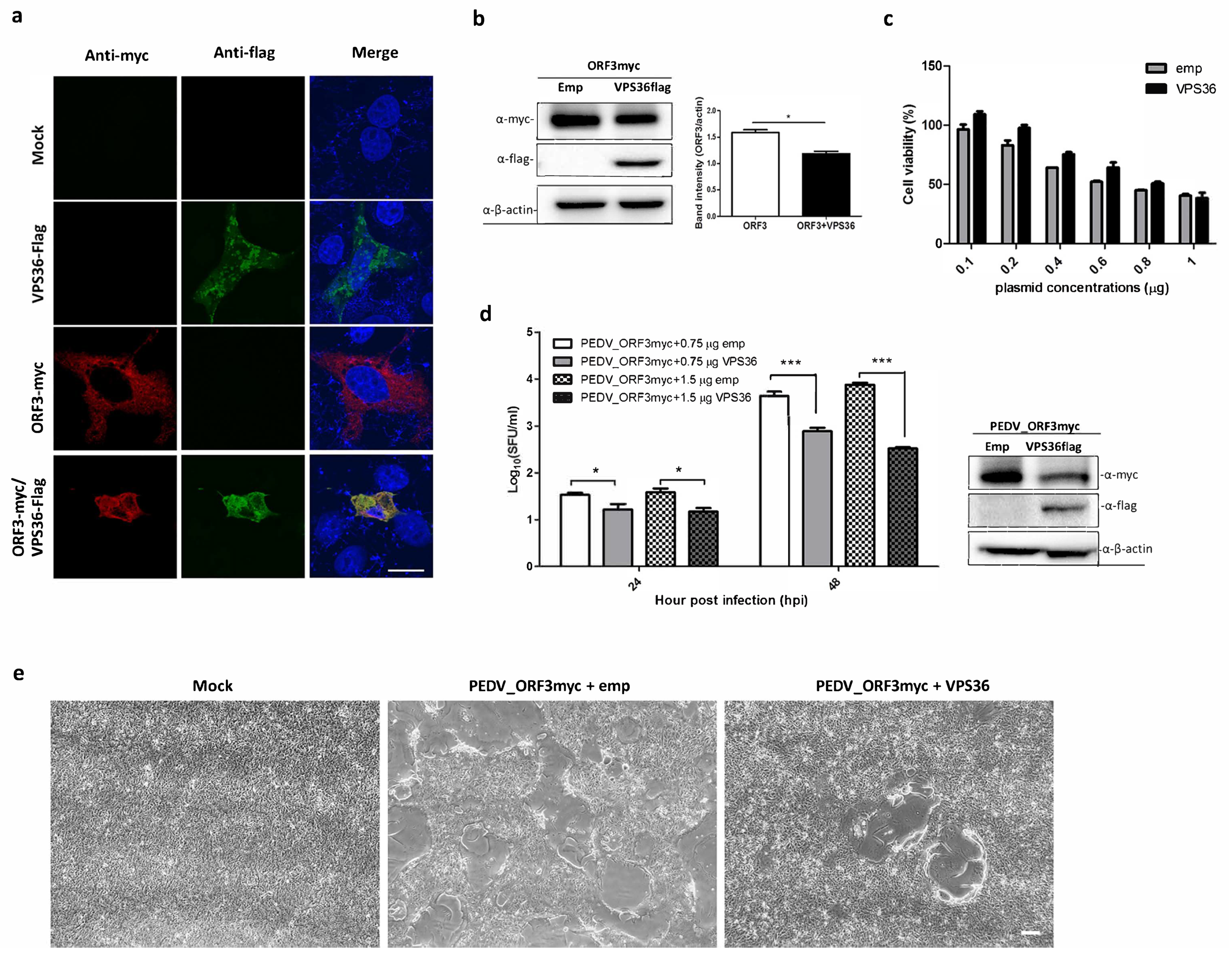 Viruses 11 00382 g005