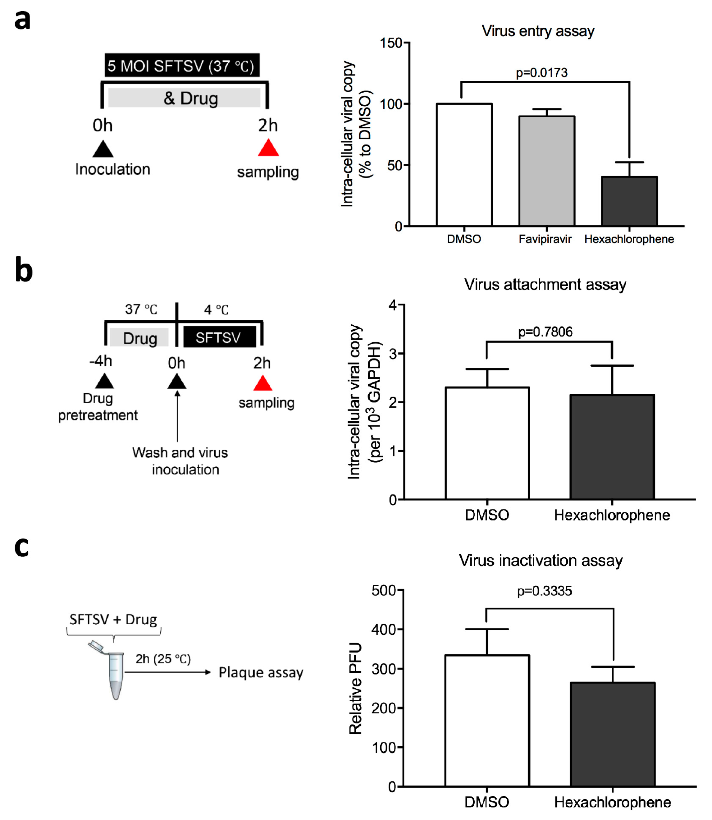 Viruses 11 00385 g004