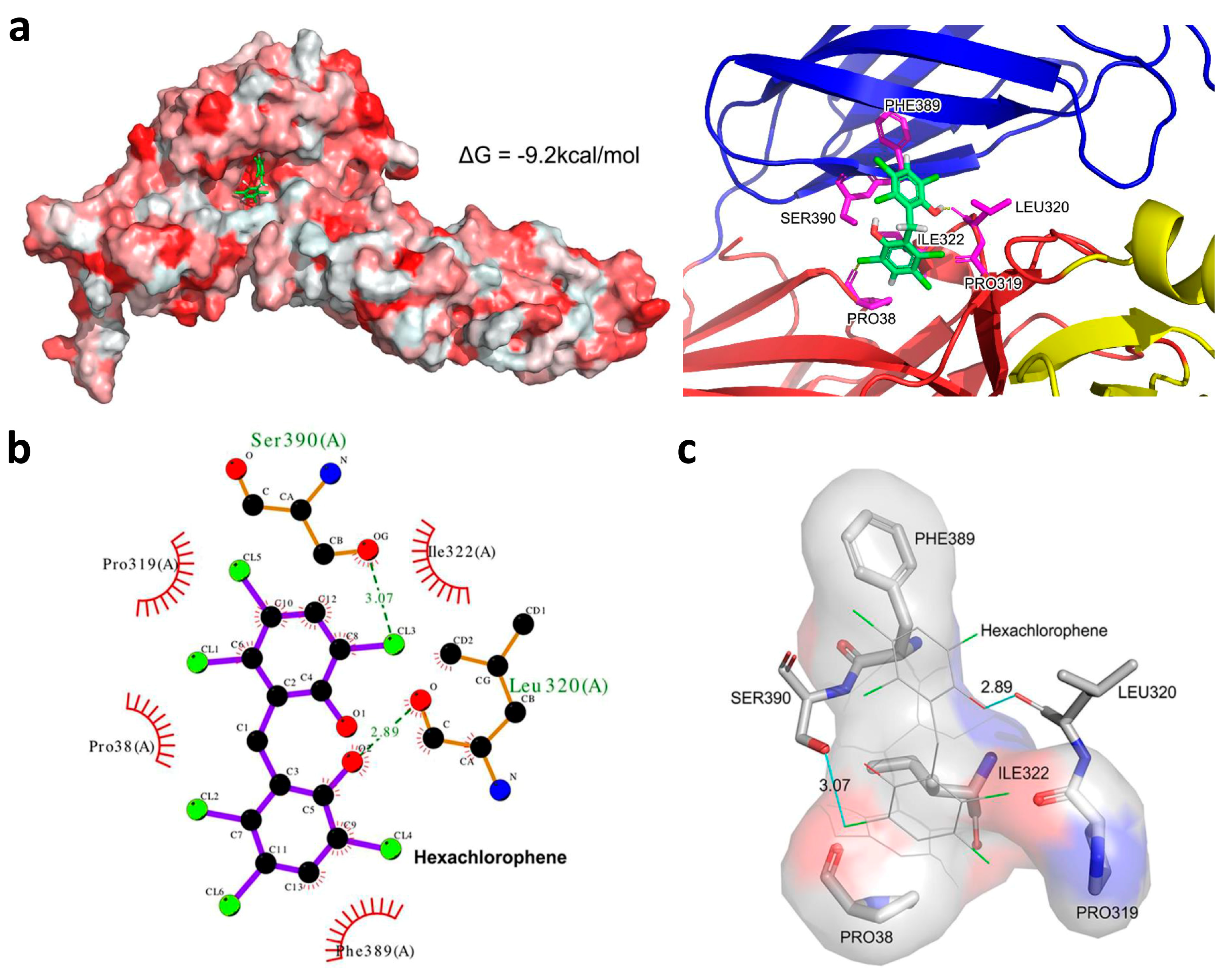 Viruses 11 00385 g006