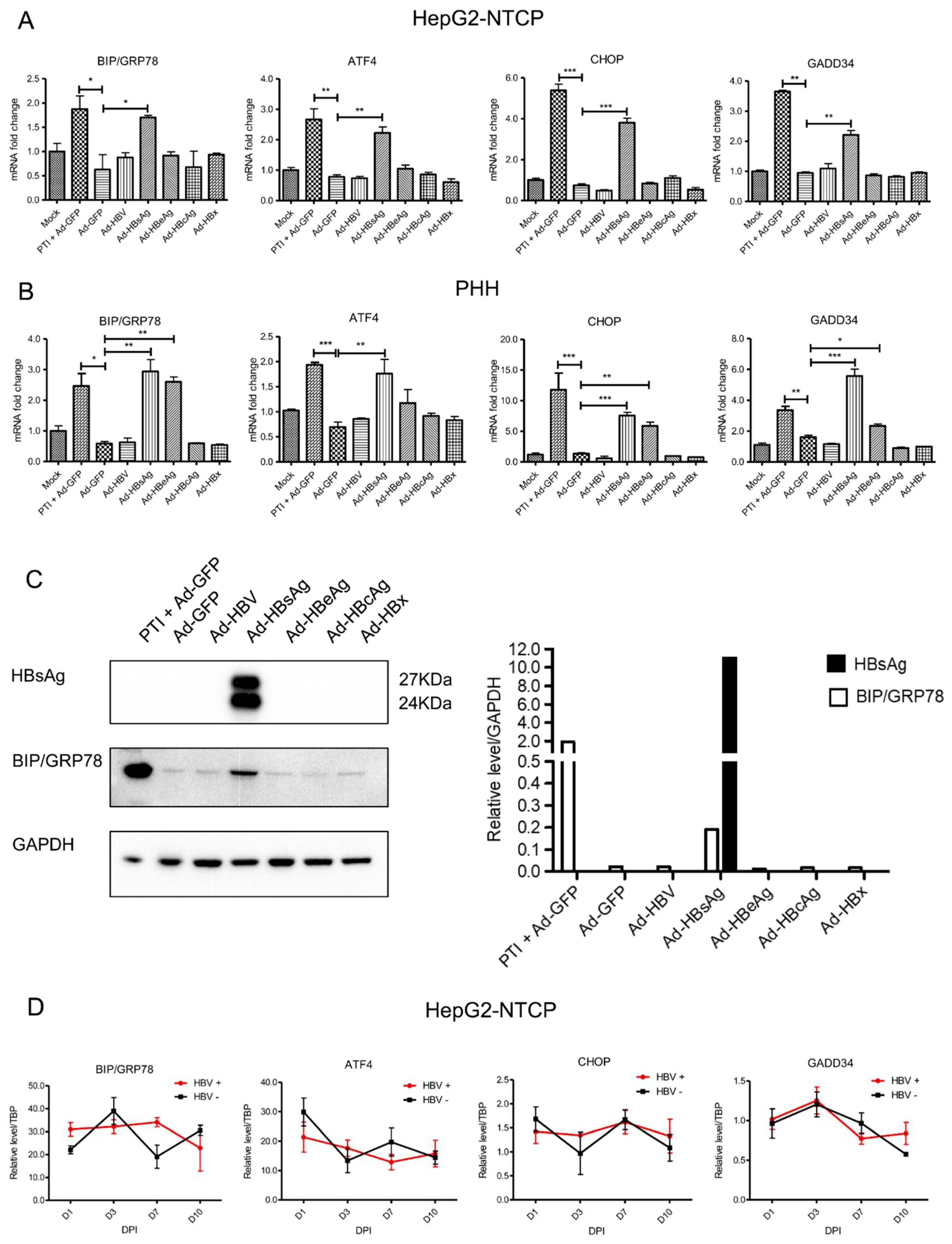Viruses 11 00386 g001 Viruses 11 00386 g001