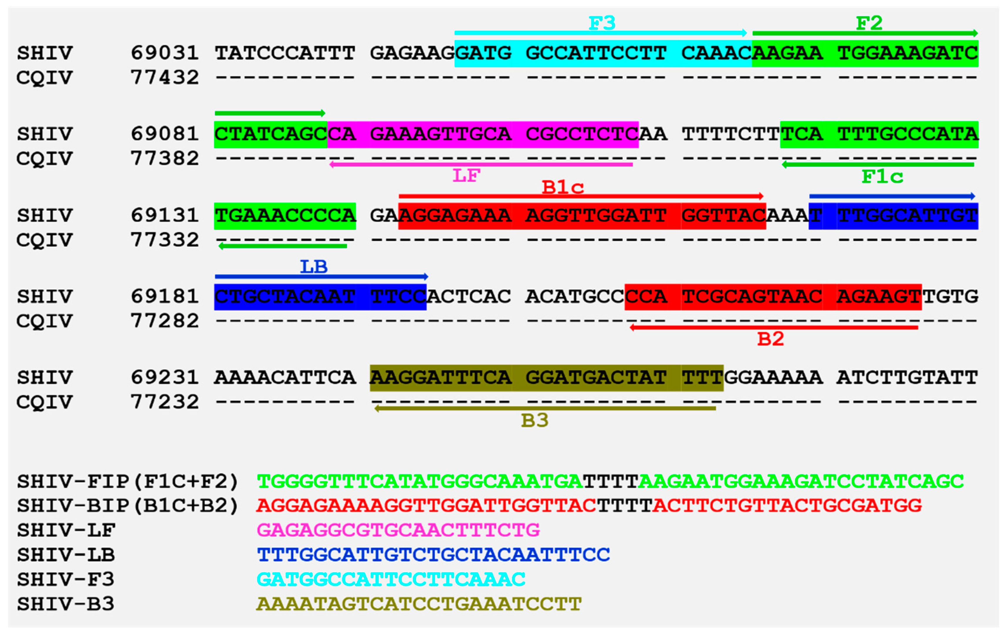 Viruses 11 00387 g005 Viruses 11 00387 g005