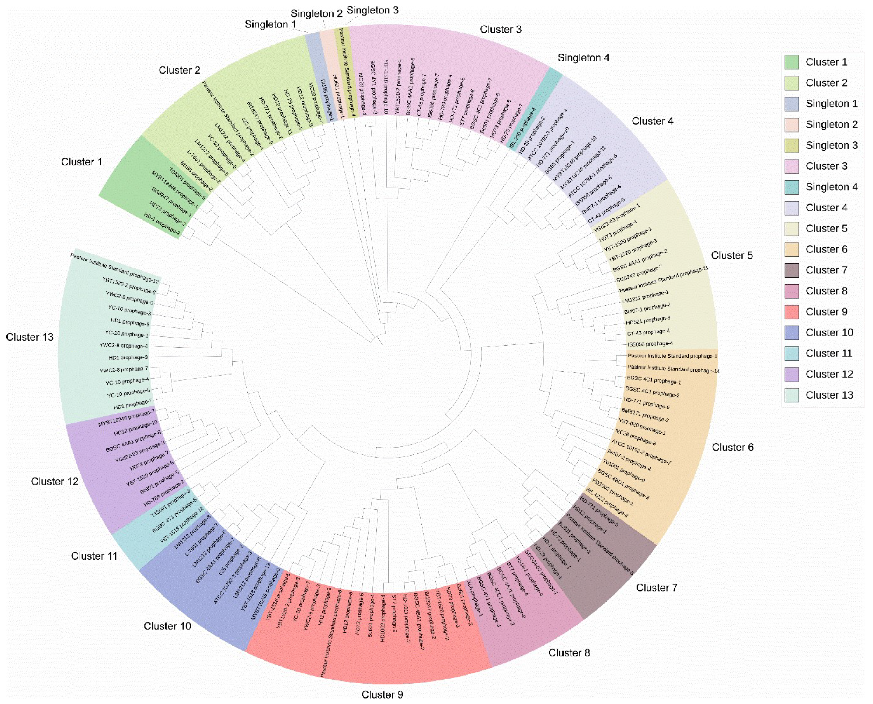 Viruses 11 00388 g002
