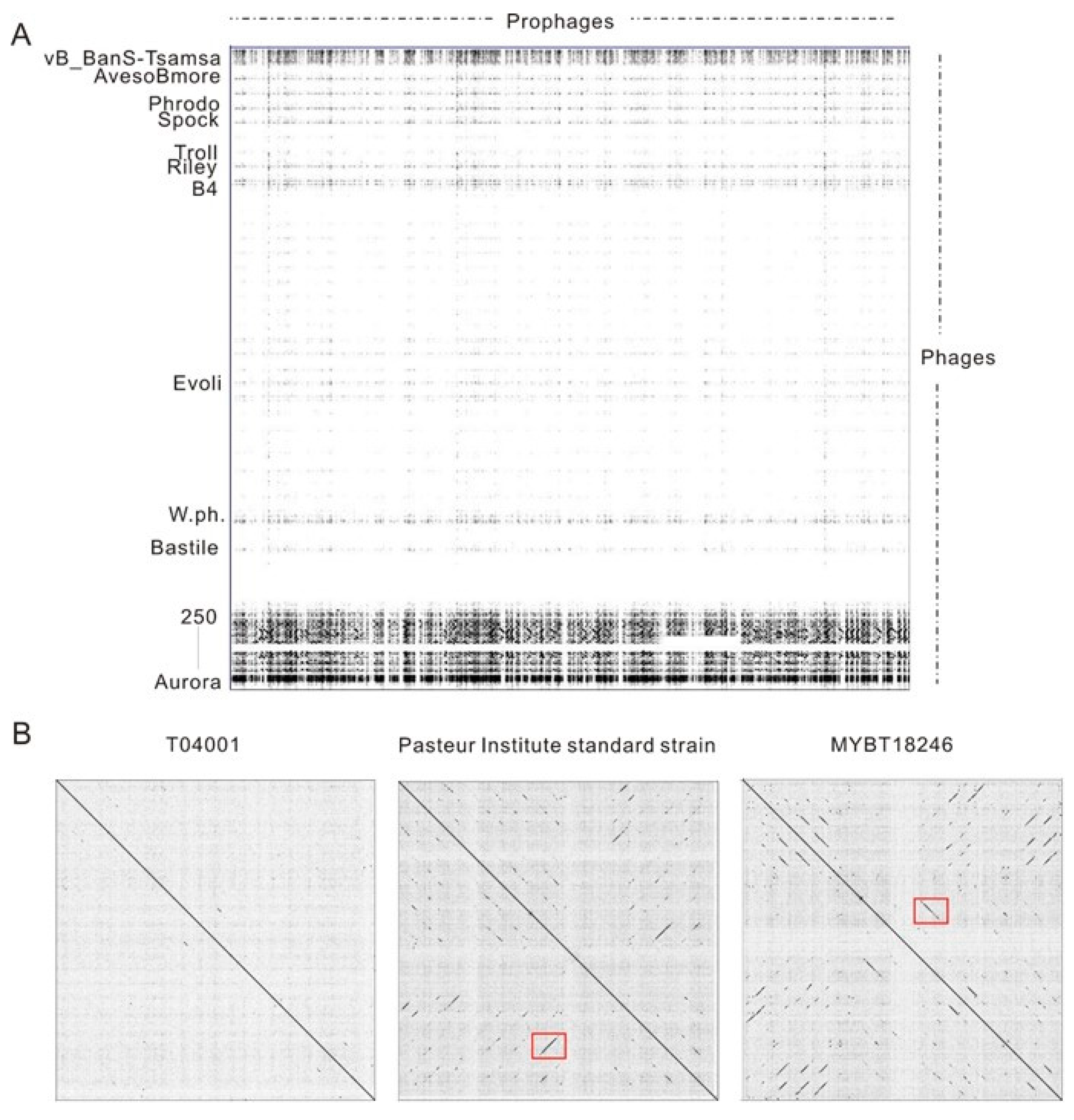 Viruses 11 00388 g003