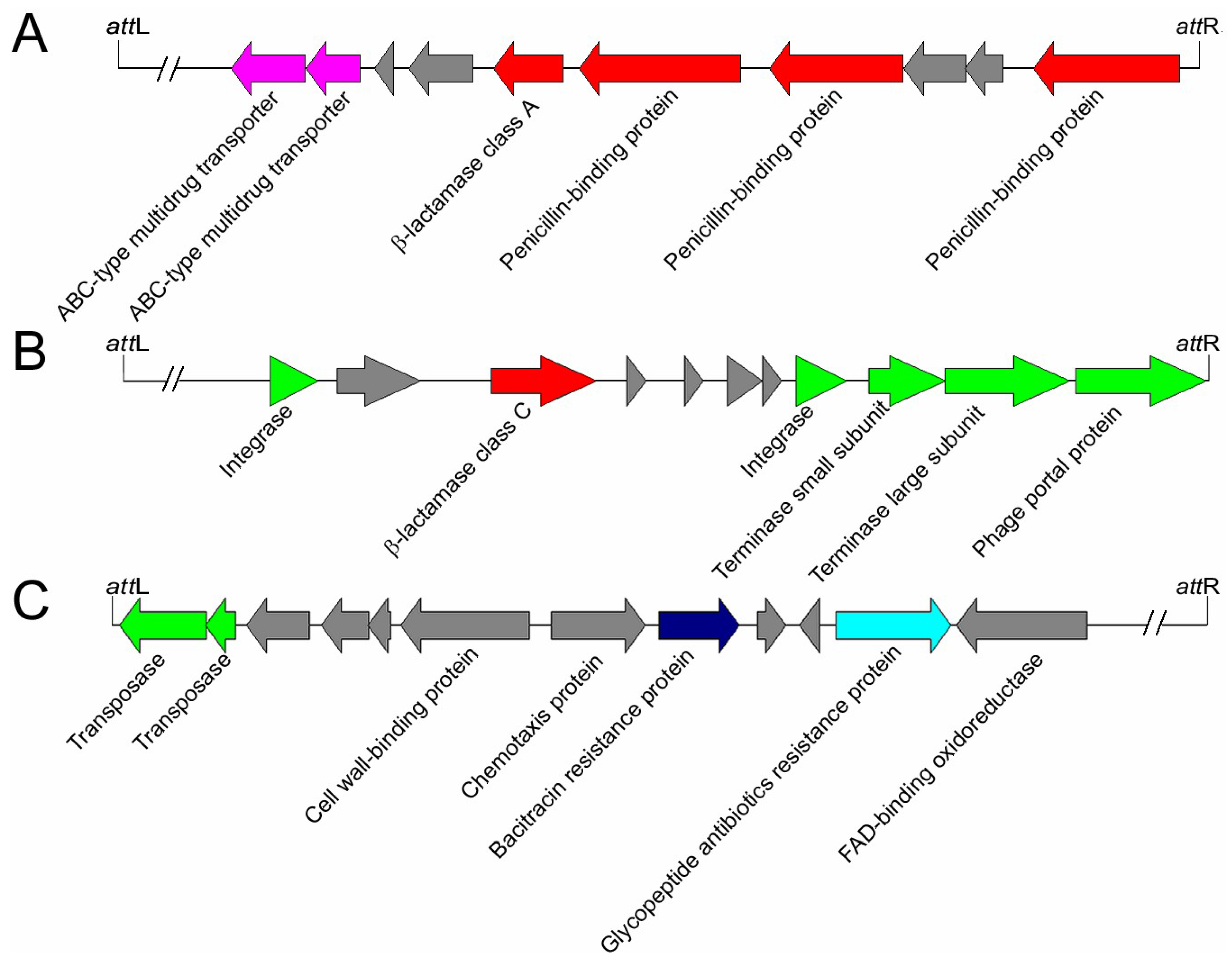 Viruses 11 00388 g005