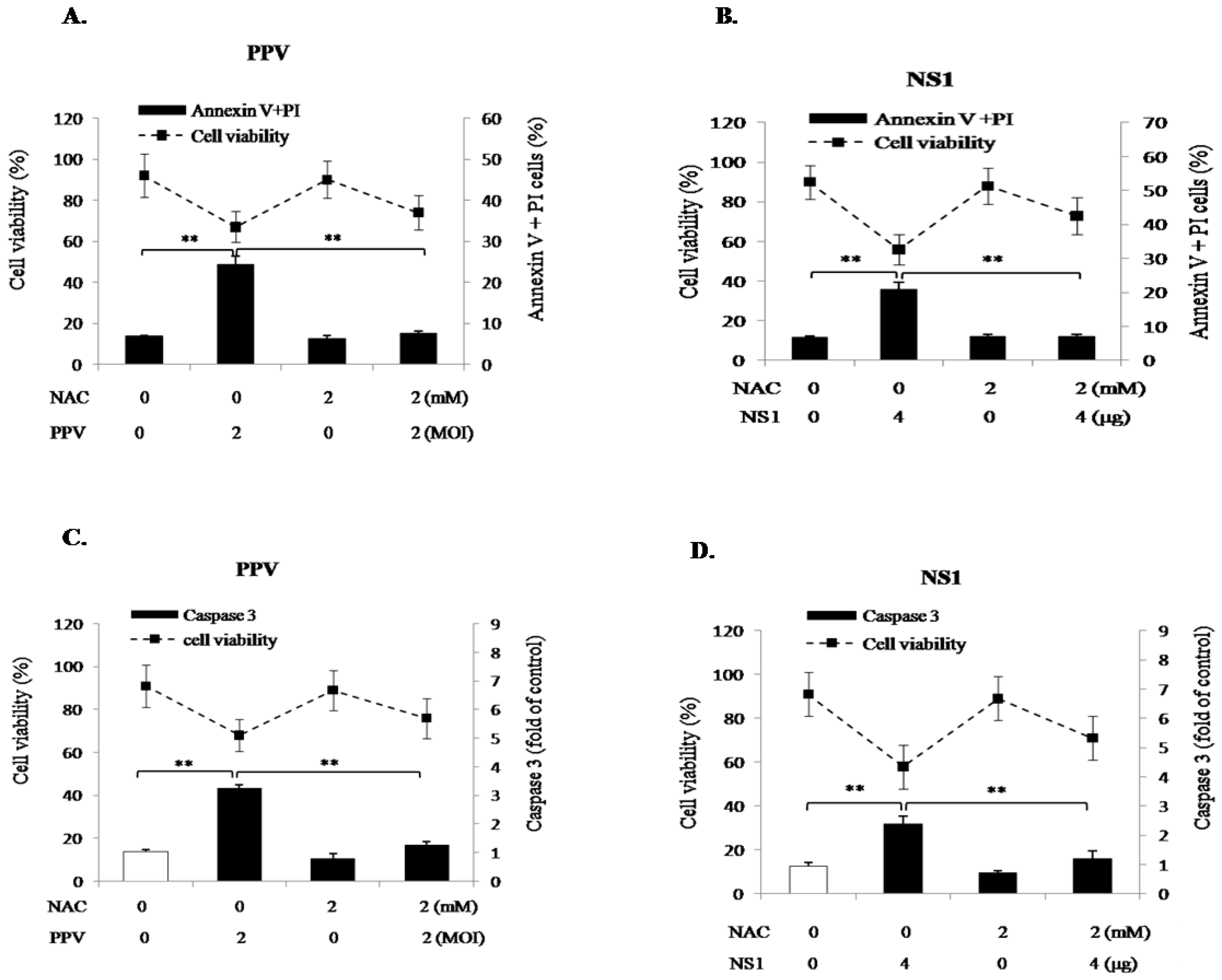 Viruses 11 00389 g005 Viruses 11 00389 g005