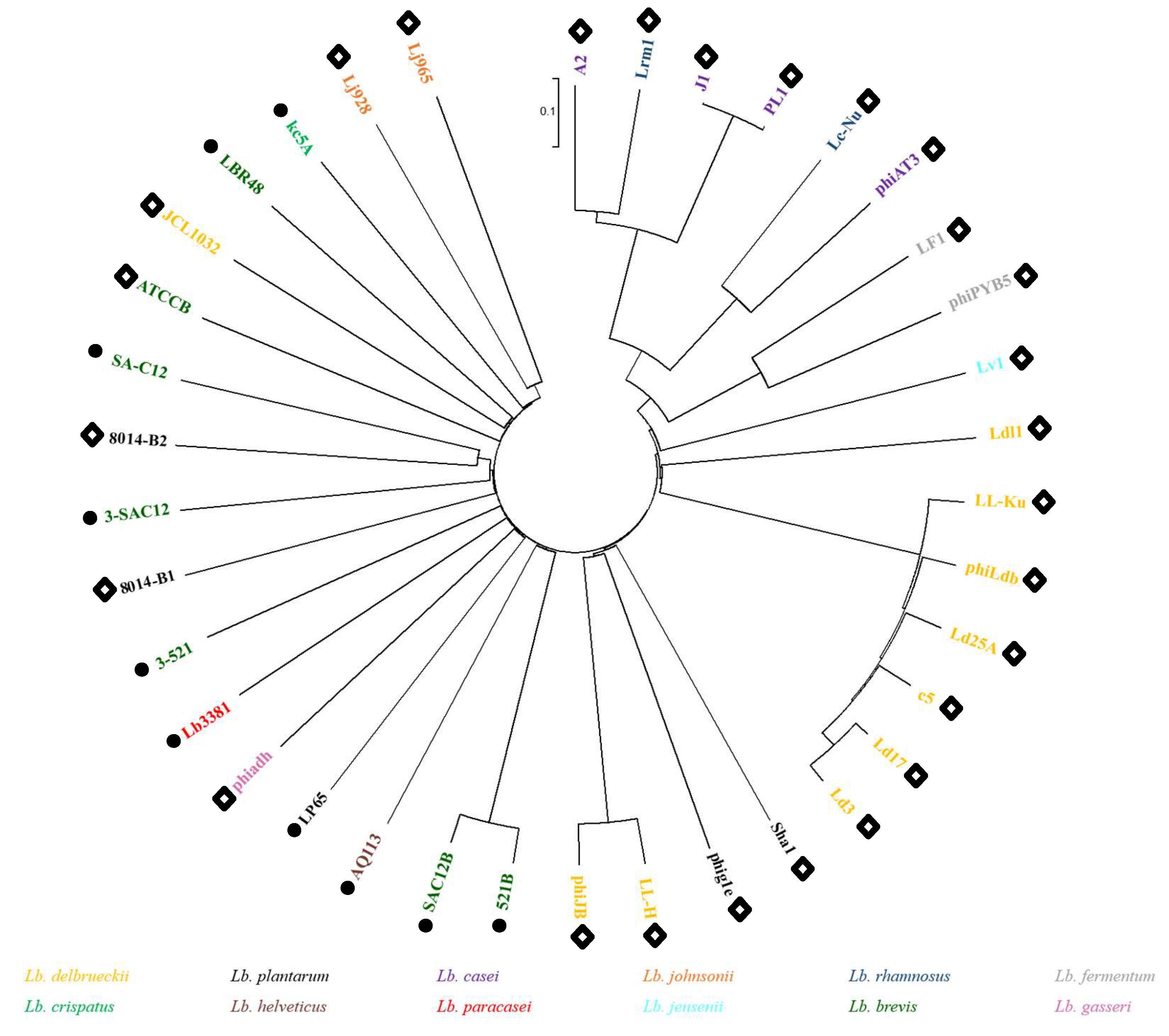 Viruses 11 00393 g002