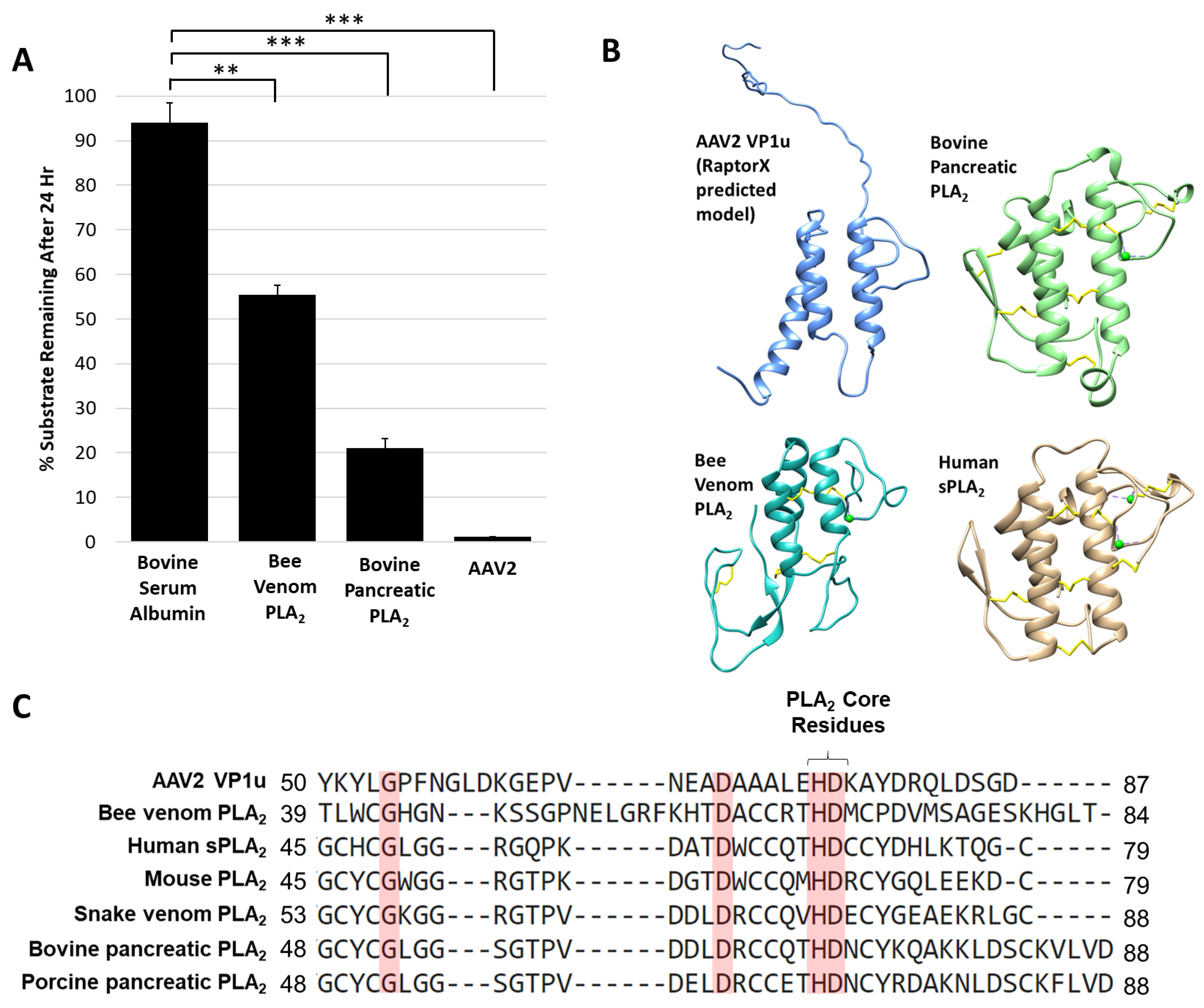 Viruses 11 00399 g005 Viruses 11 00399 g005