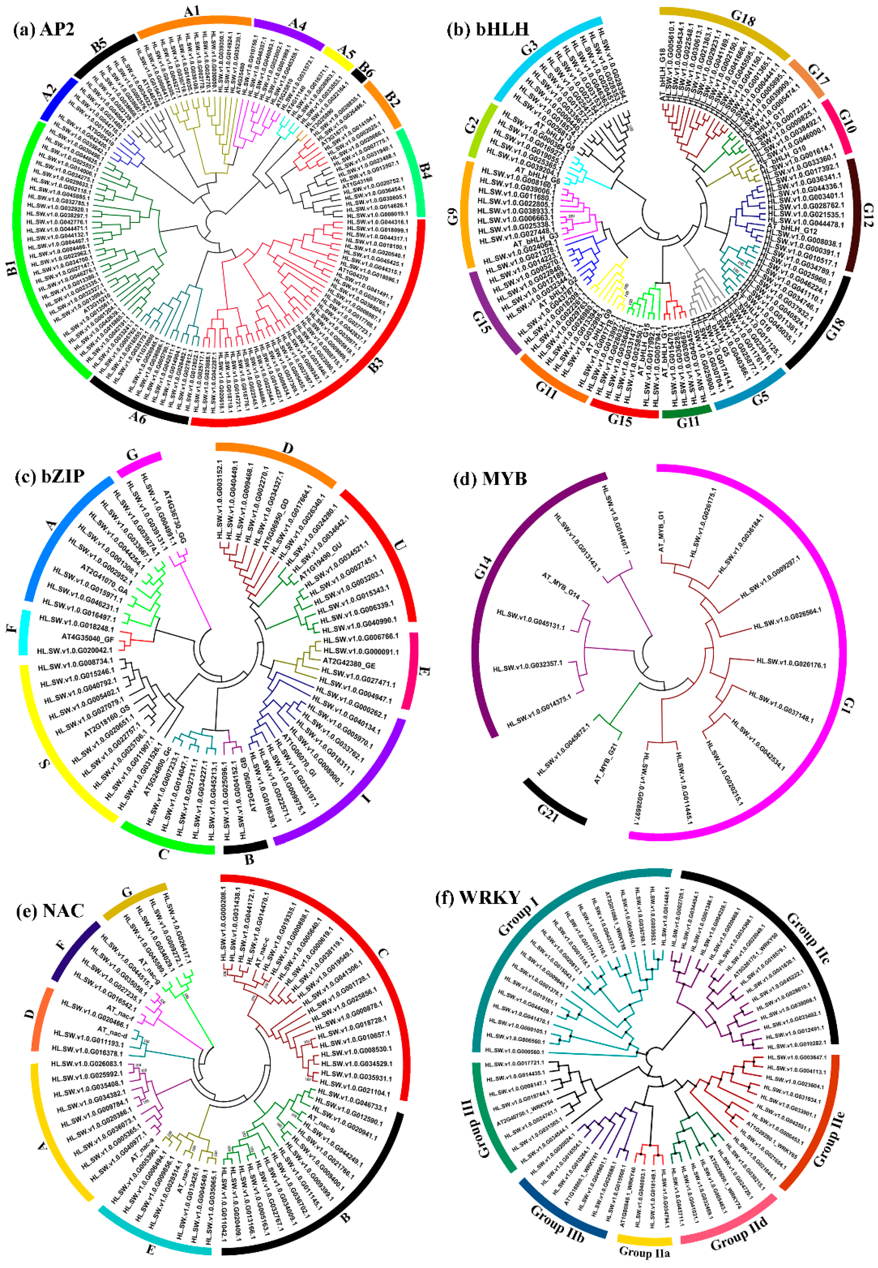 Viruses 11 00419 g002