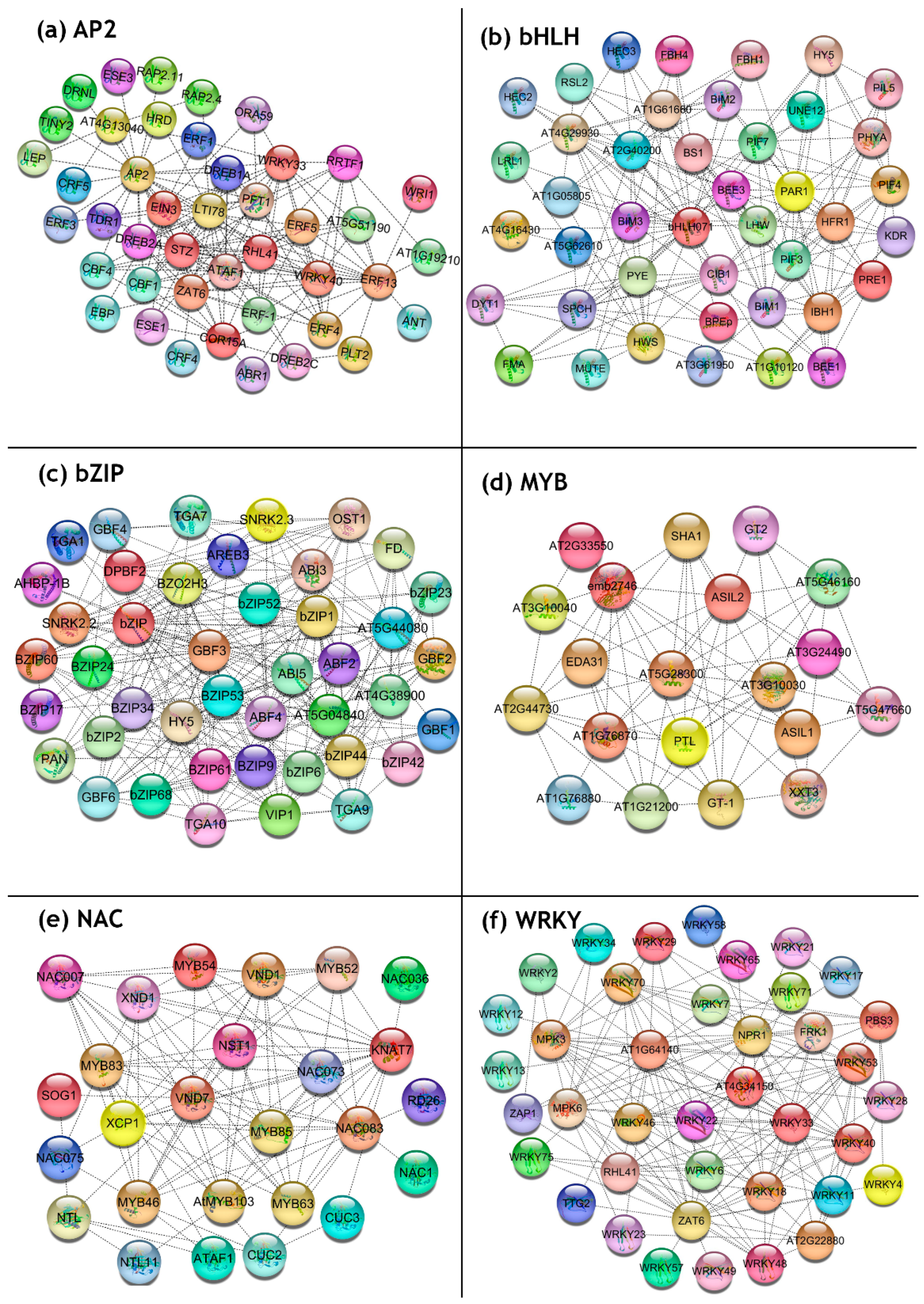 Viruses 11 00419 g005
