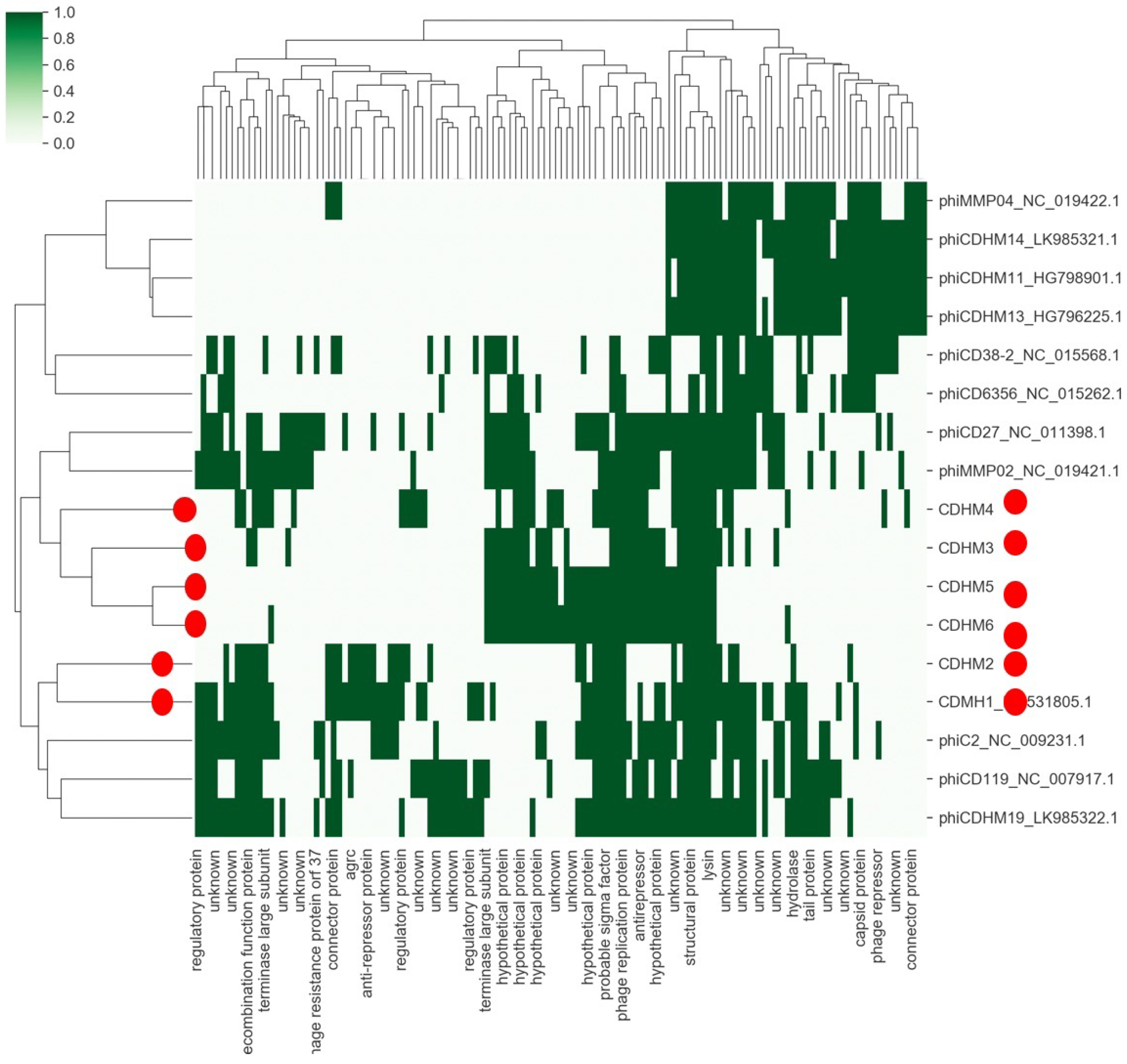 Viruses 11 00420 g003