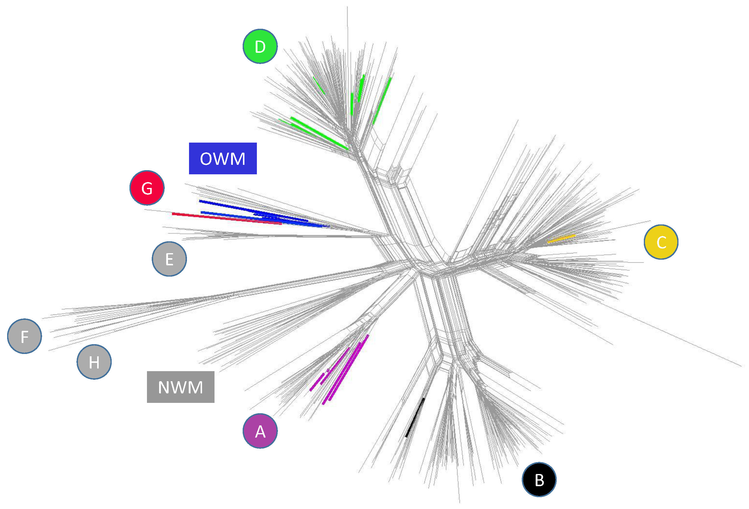 Viruses 11 00420 g005