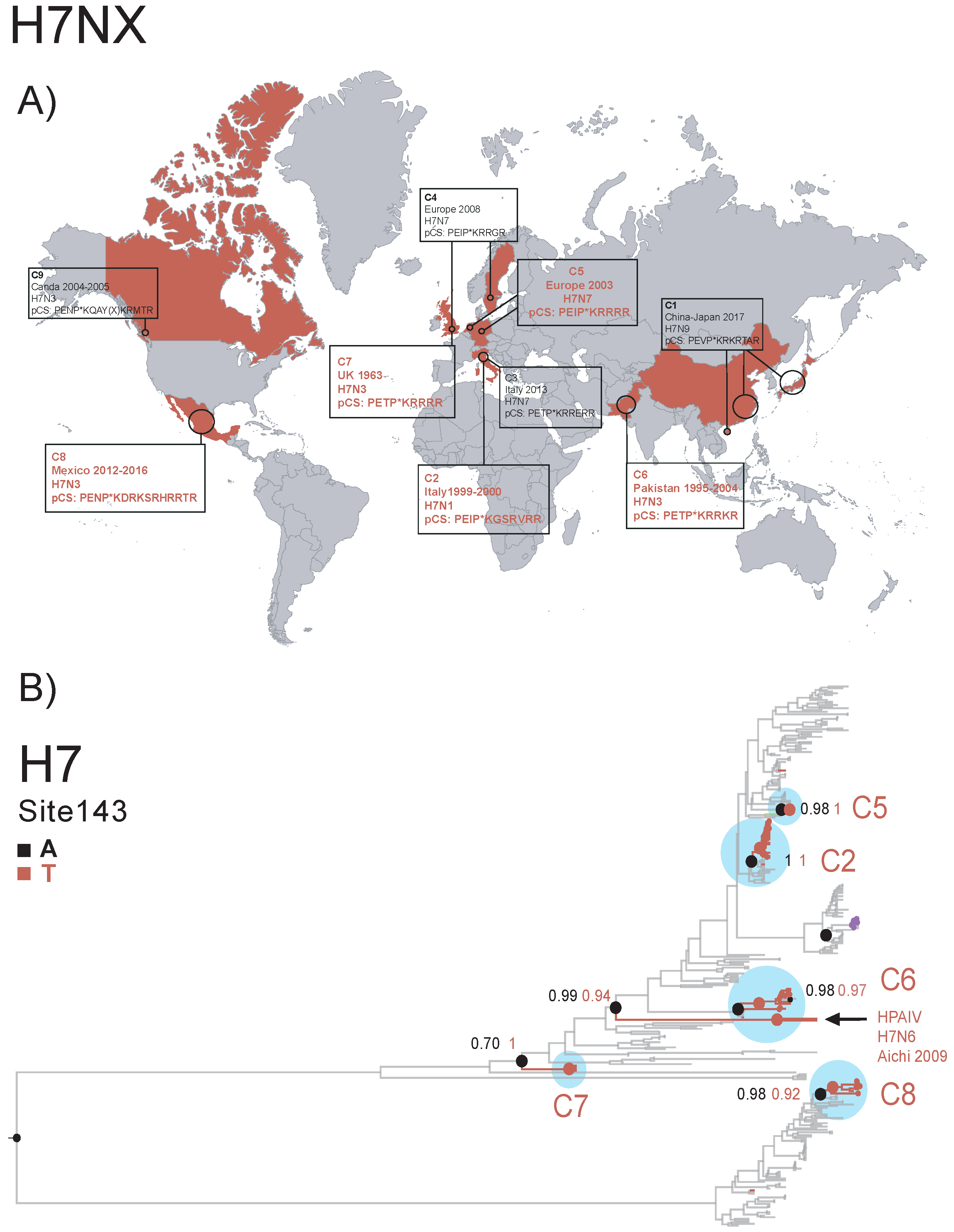 Viruses 11 00420 g008