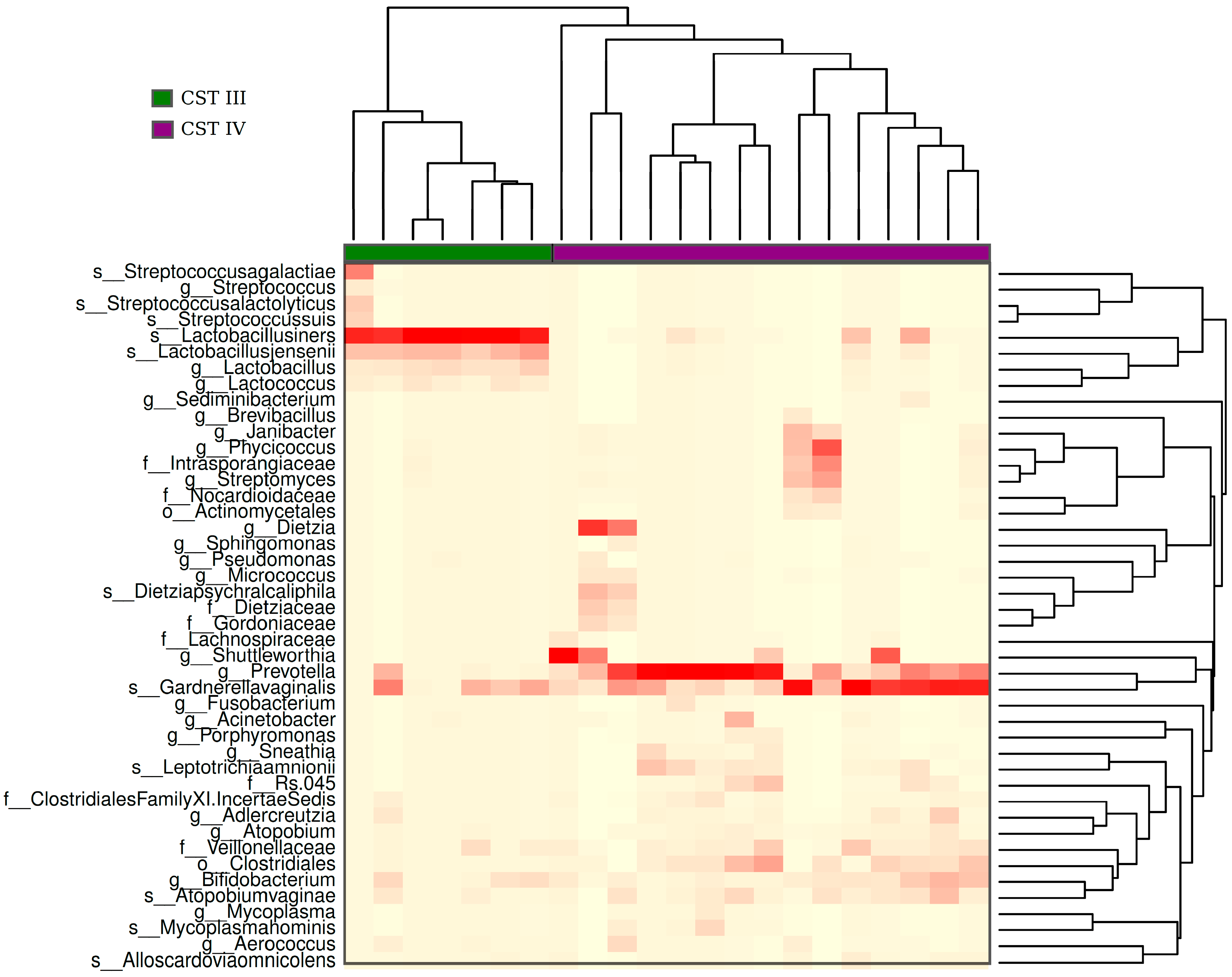 Viruses 11 00422 g005 Viruses 11 00422 g005