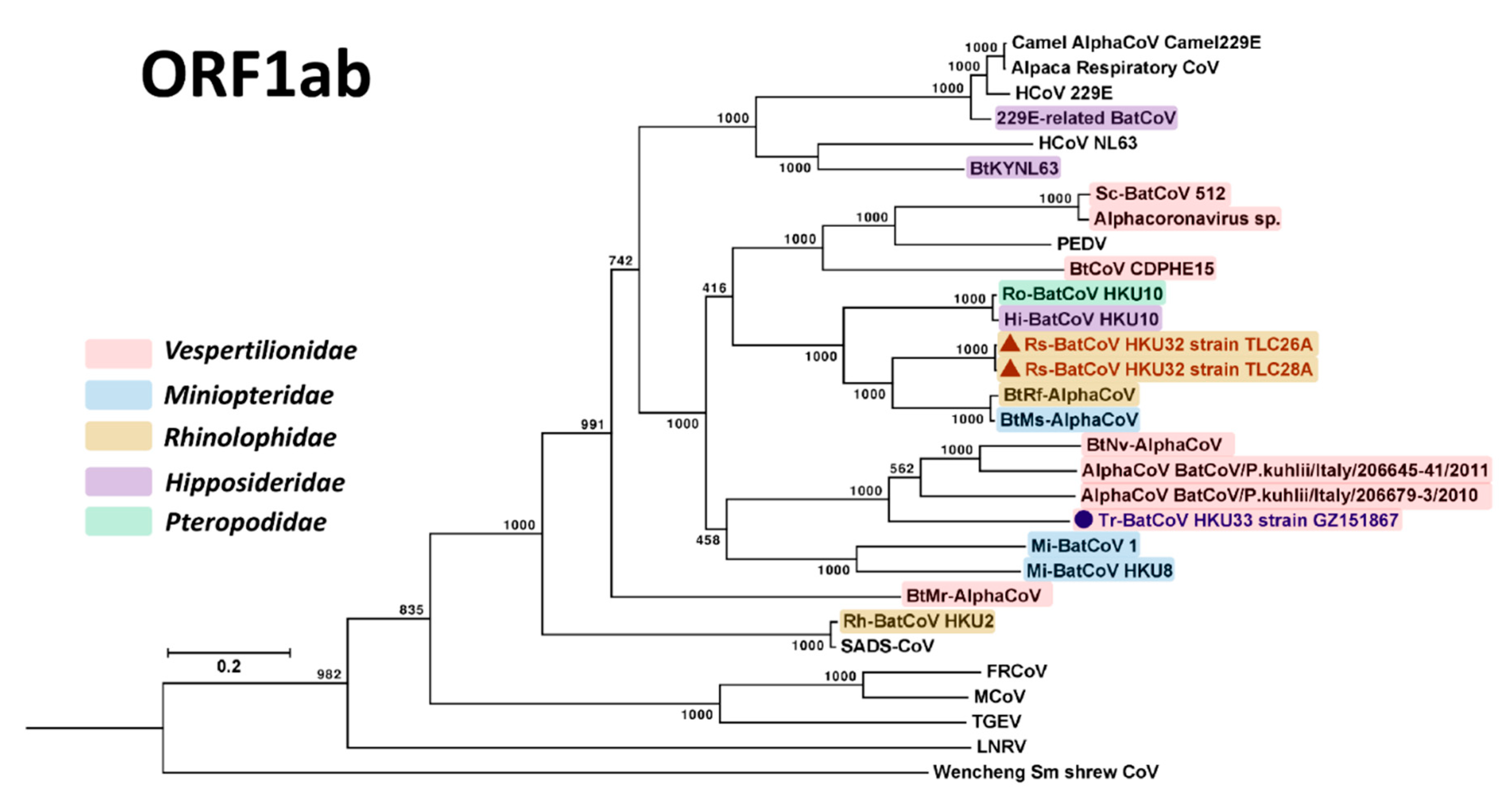 Viruses 11 00423 g003