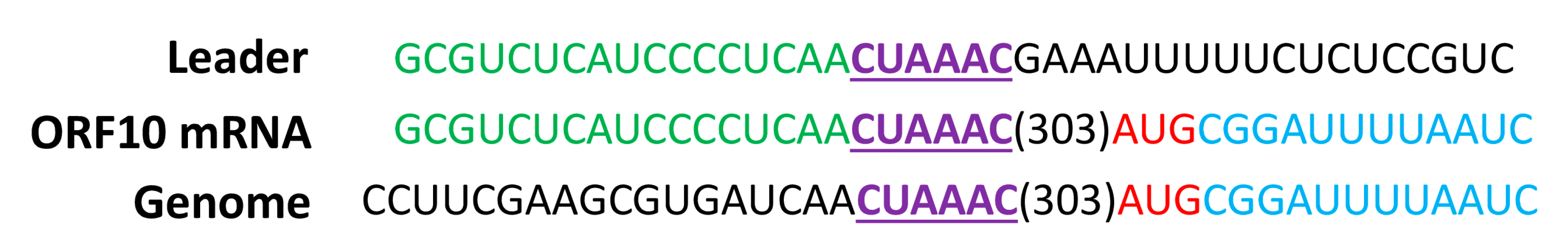 Viruses 11 00423 g005