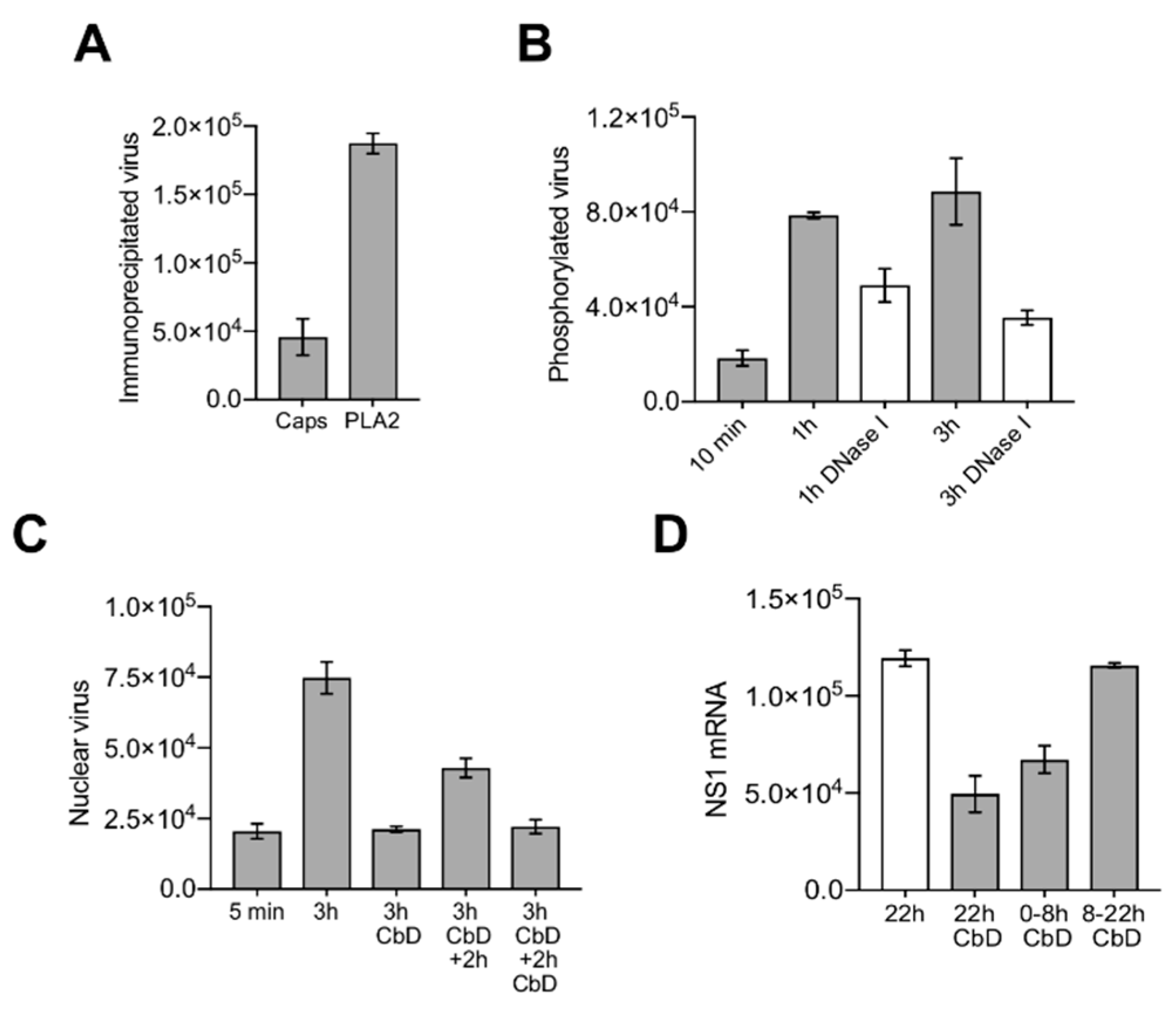 Viruses 11 00430 g007