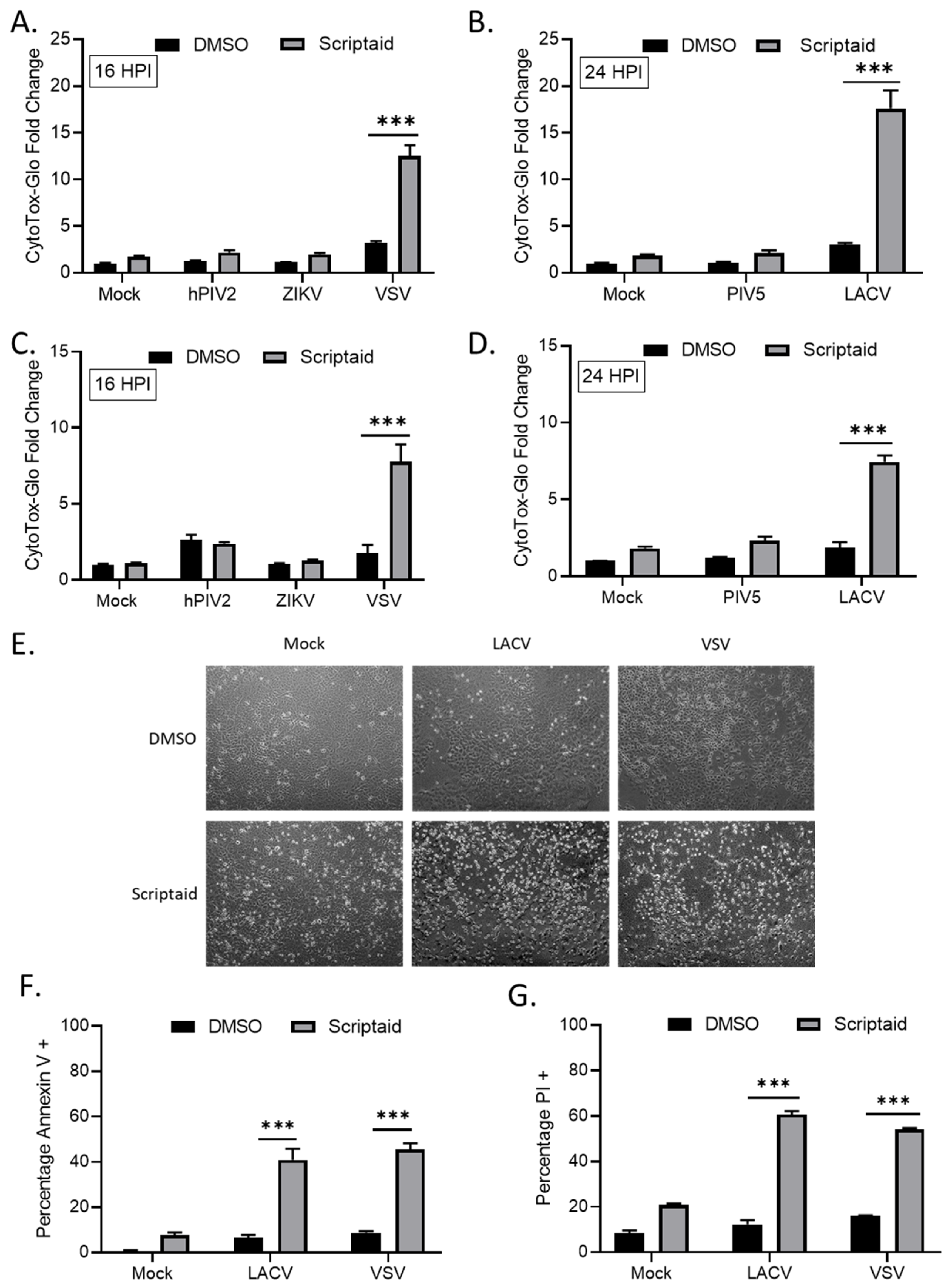 Viruses 11 00431 g004
