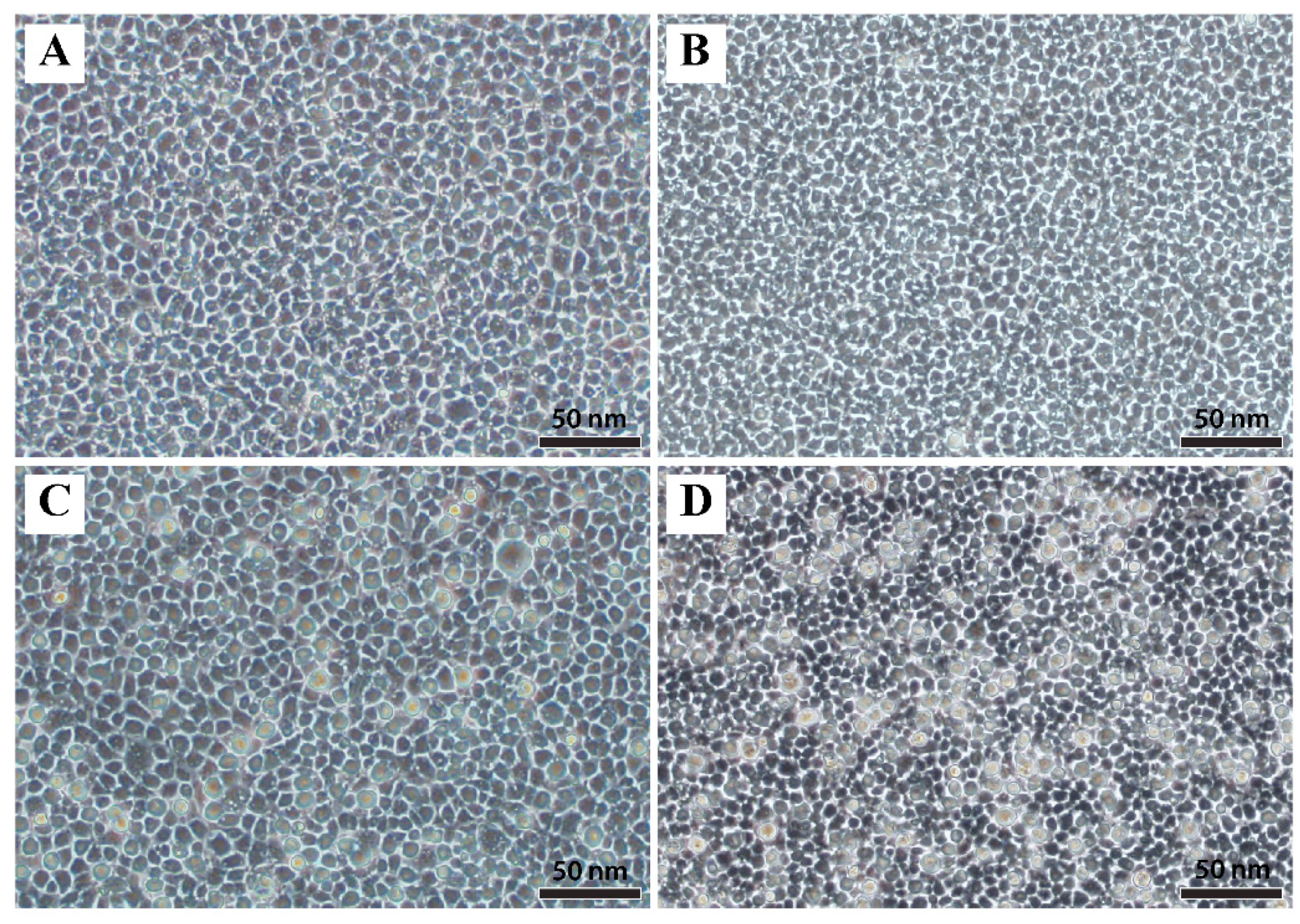 Viruses 11 00440 g001