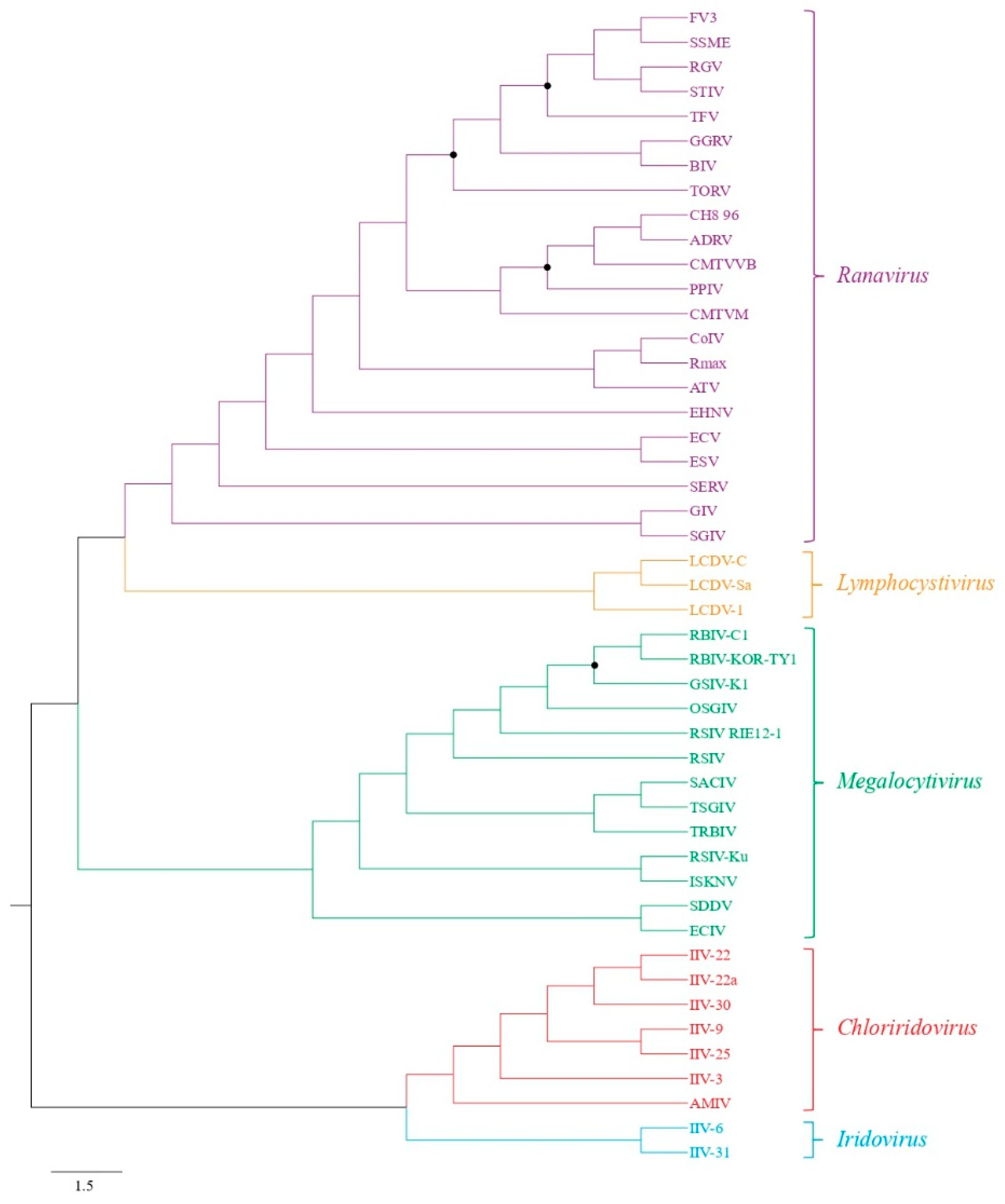 Viruses 11 00440 g003