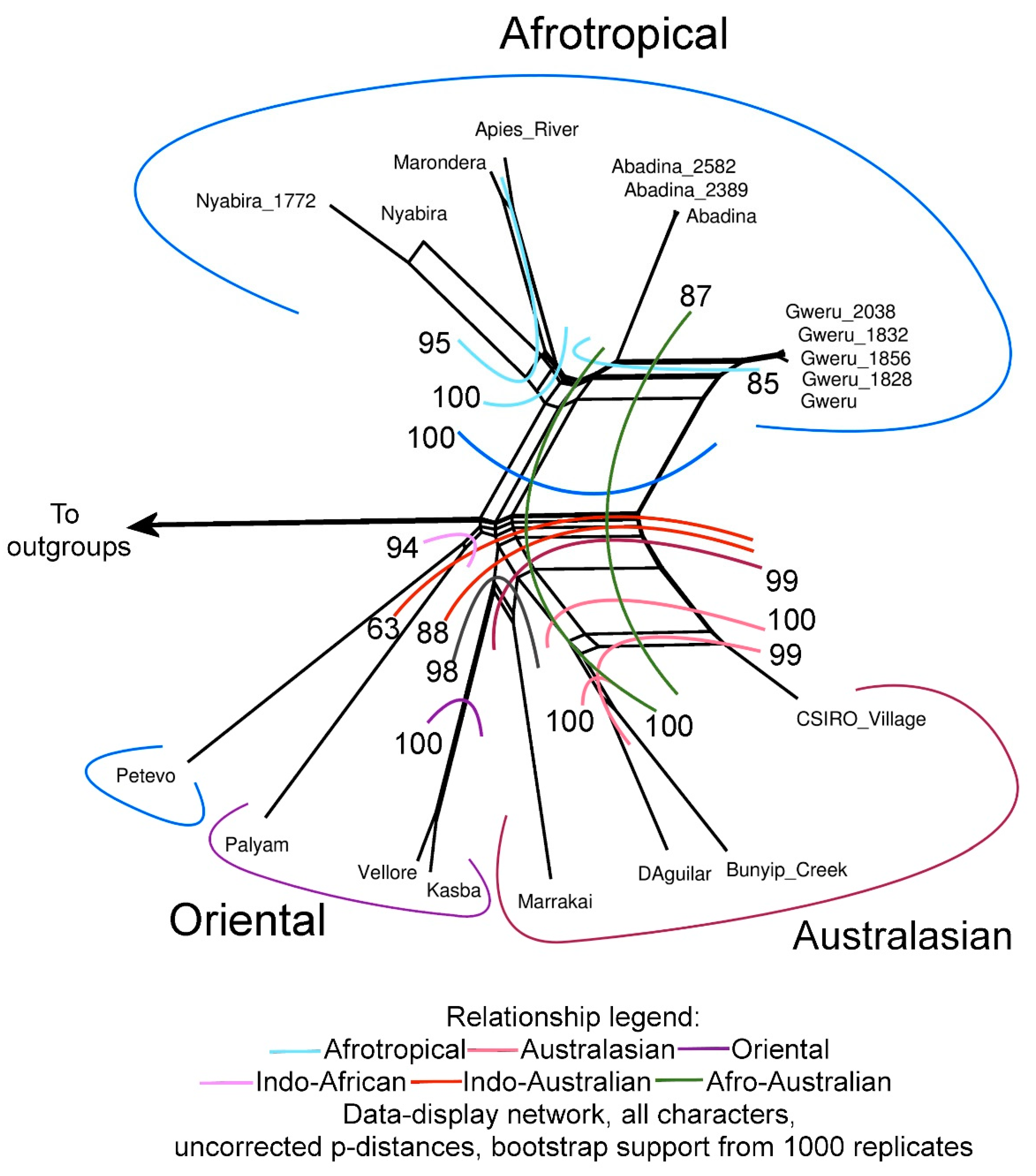 Viruses 11 00446 g001 Viruses 11 00446 g001