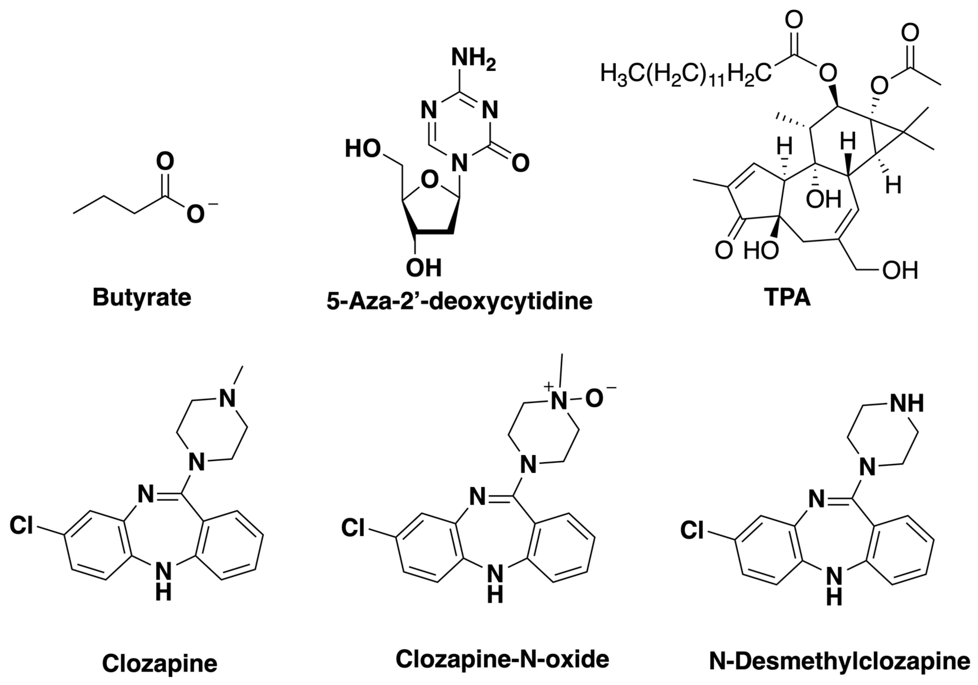 Viruses 11 00450 g001 Viruses 11 00450 g001