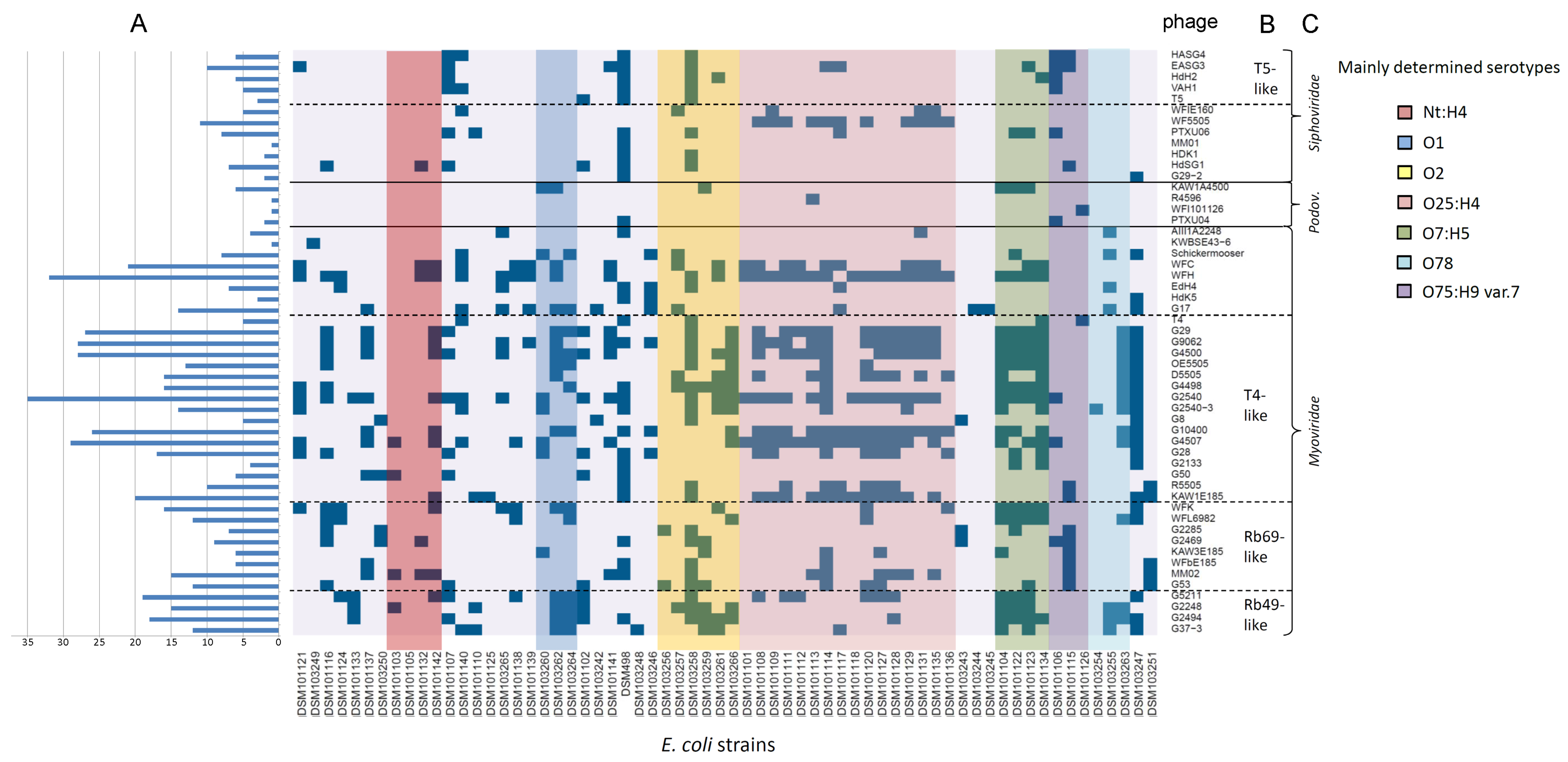 Viruses 11 00454 g004 Viruses 11 00454 g004