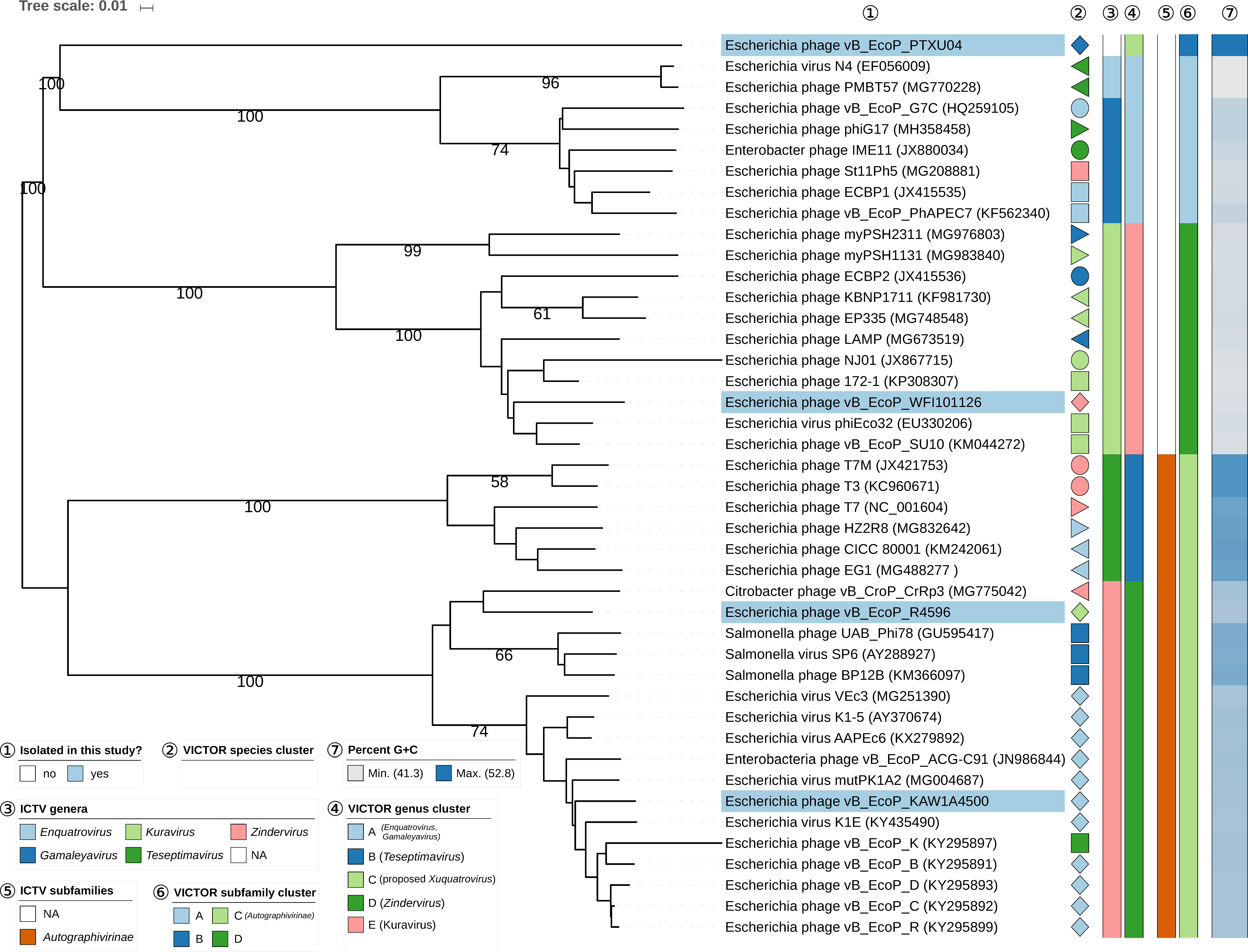 Viruses 11 00454 g005 Viruses 11 00454 g005