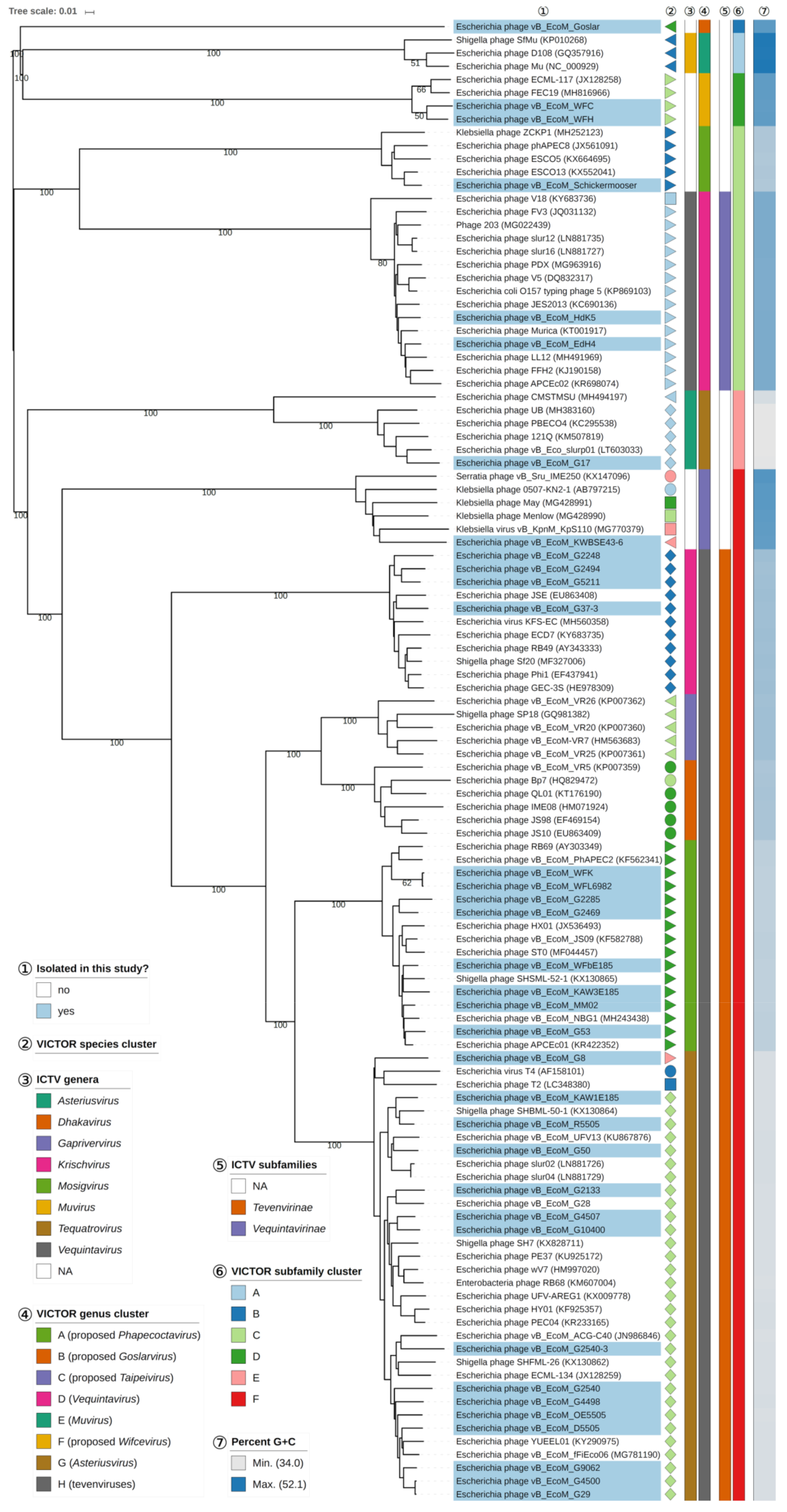 Viruses 11 00454 g007 Viruses 11 00454 g007