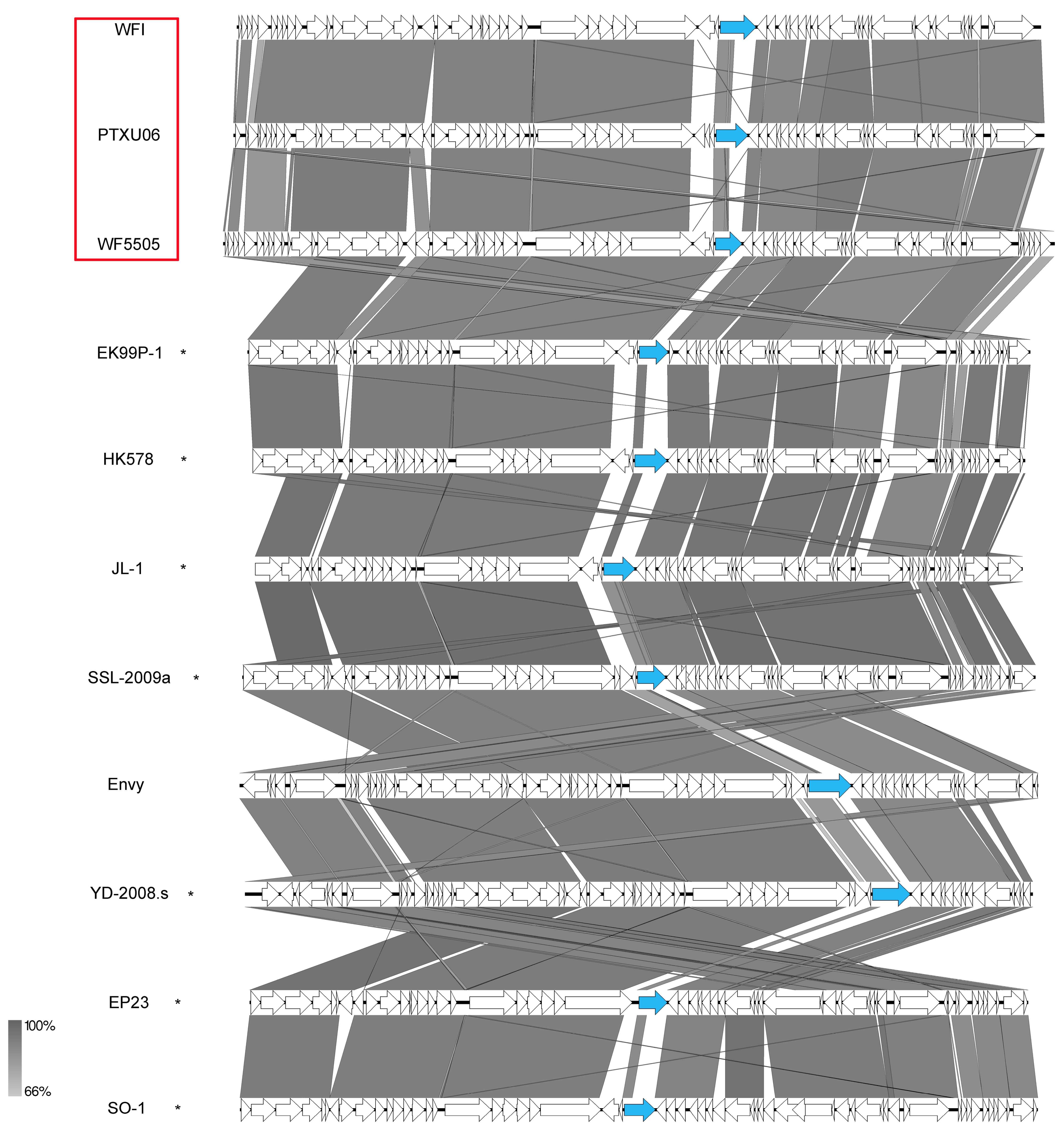 Viruses 11 00454 g015 Viruses 11 00454 g015
