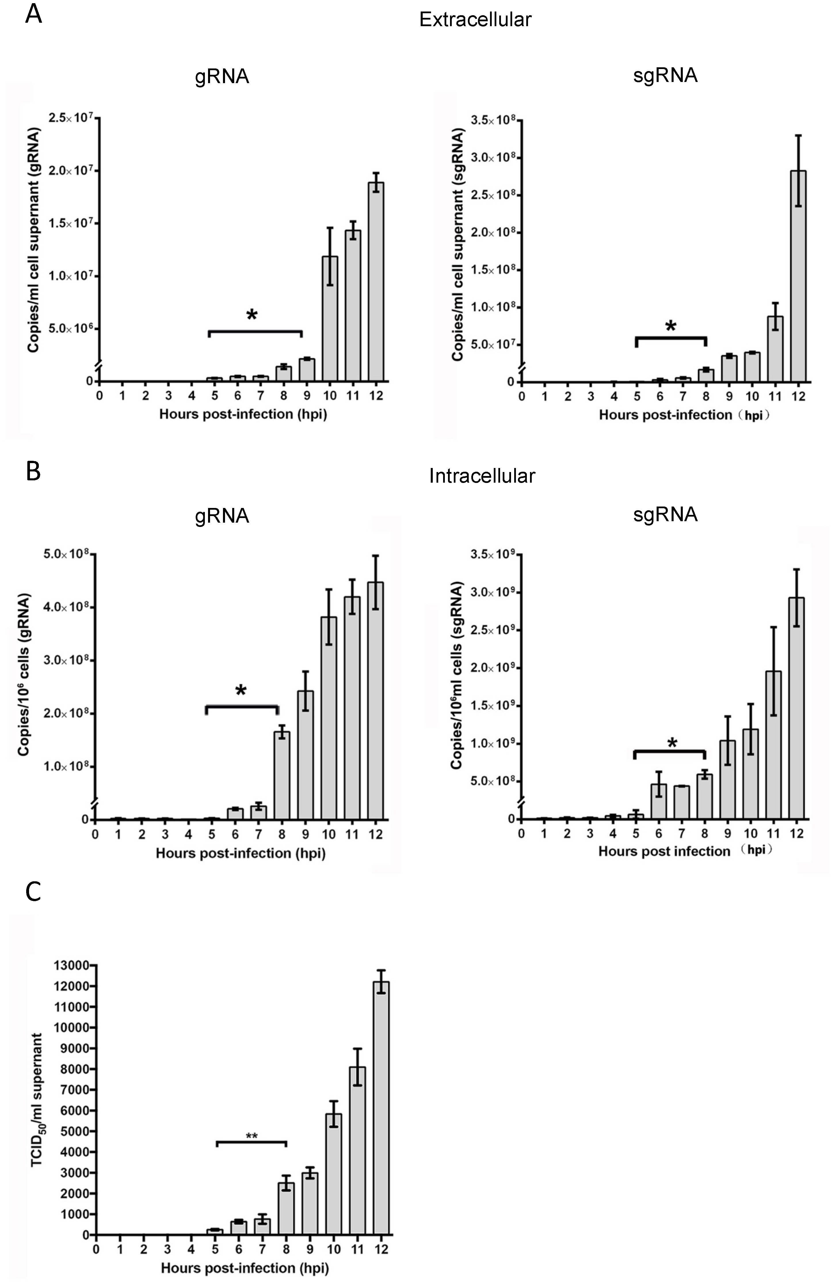 Viruses 11 00455 g001