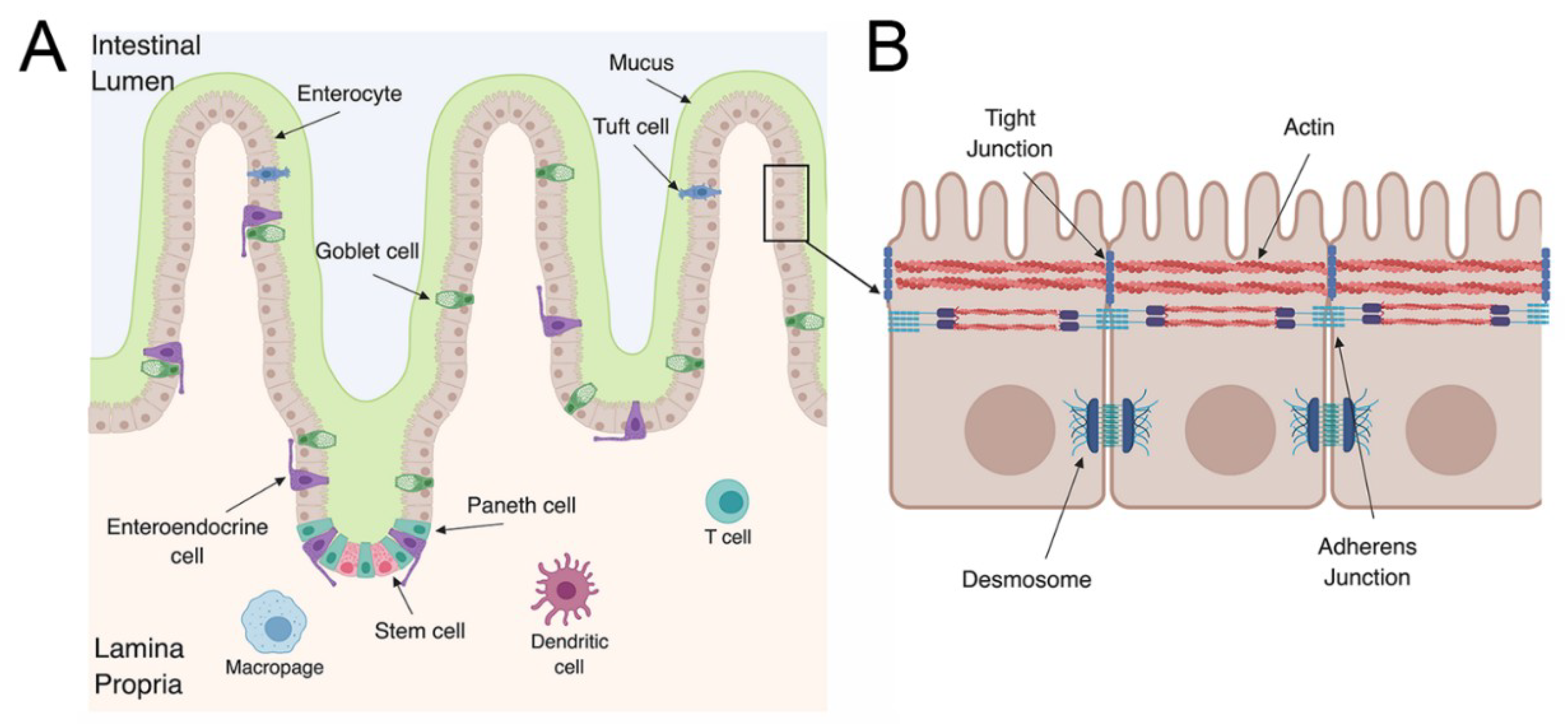 Viruses 11 00460 g001