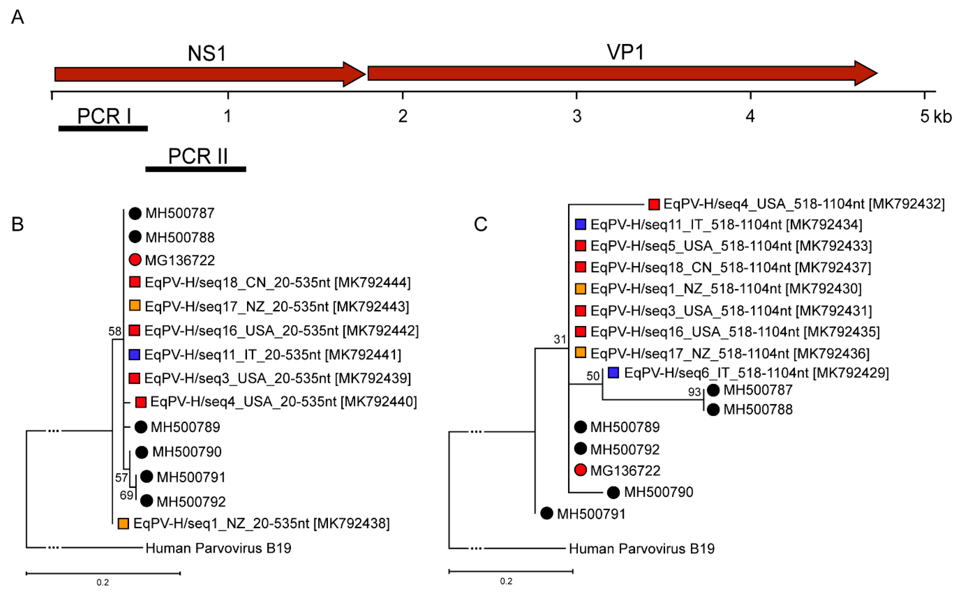 Viruses 11 00461 g003
