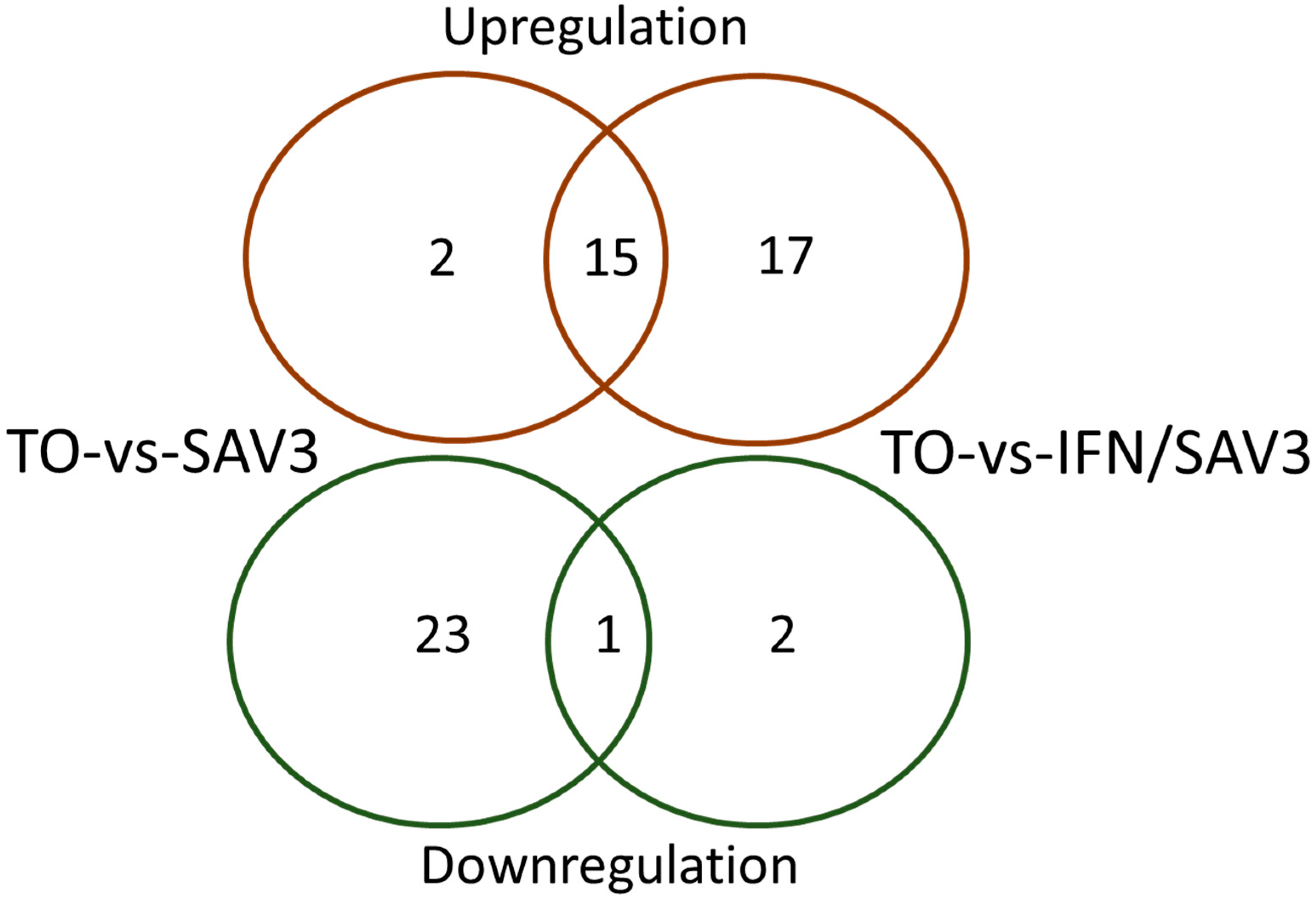 Viruses 11 00464 g001 Viruses 11 00464 g001
