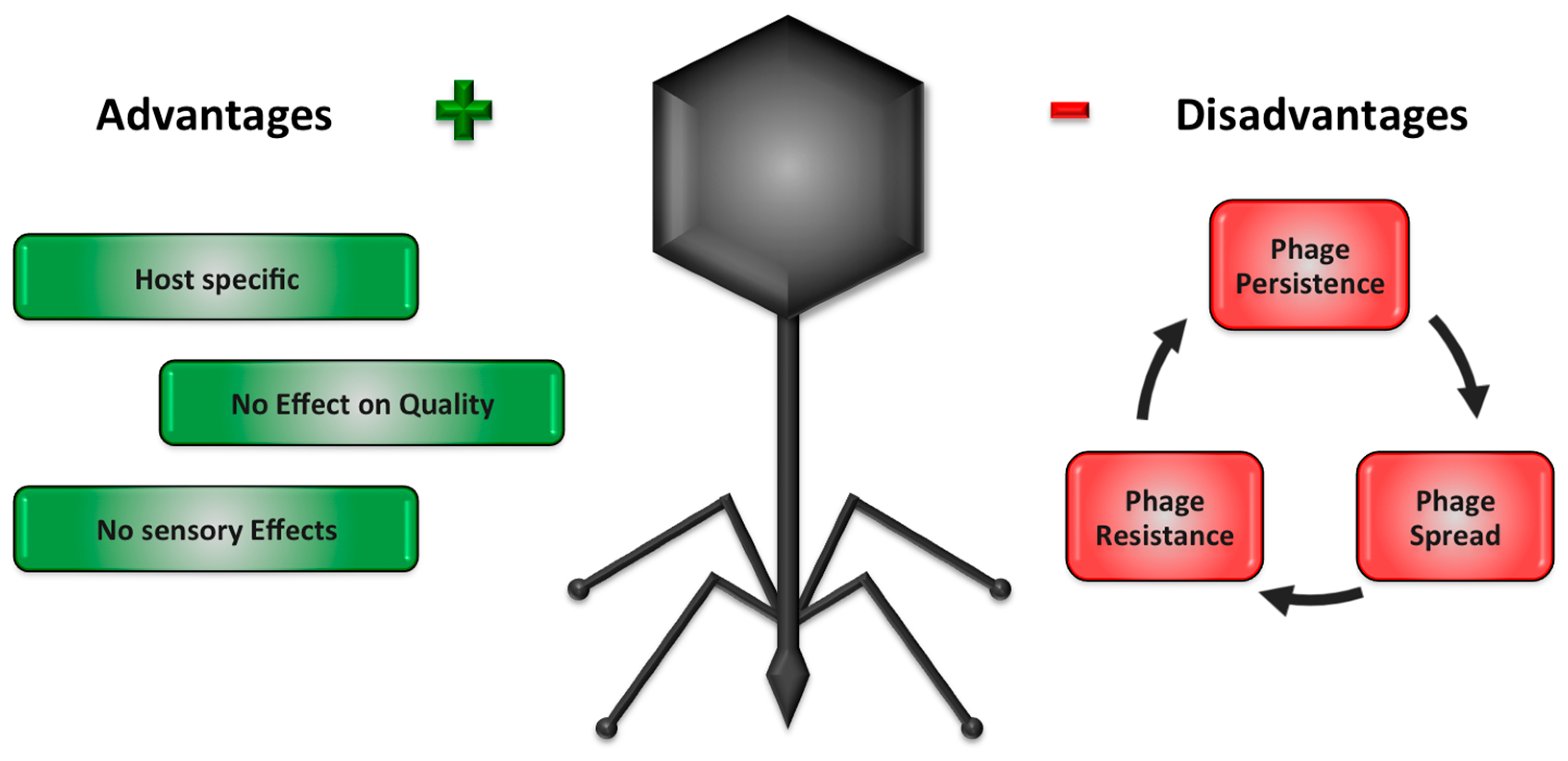 Viruses 11 00468 g001