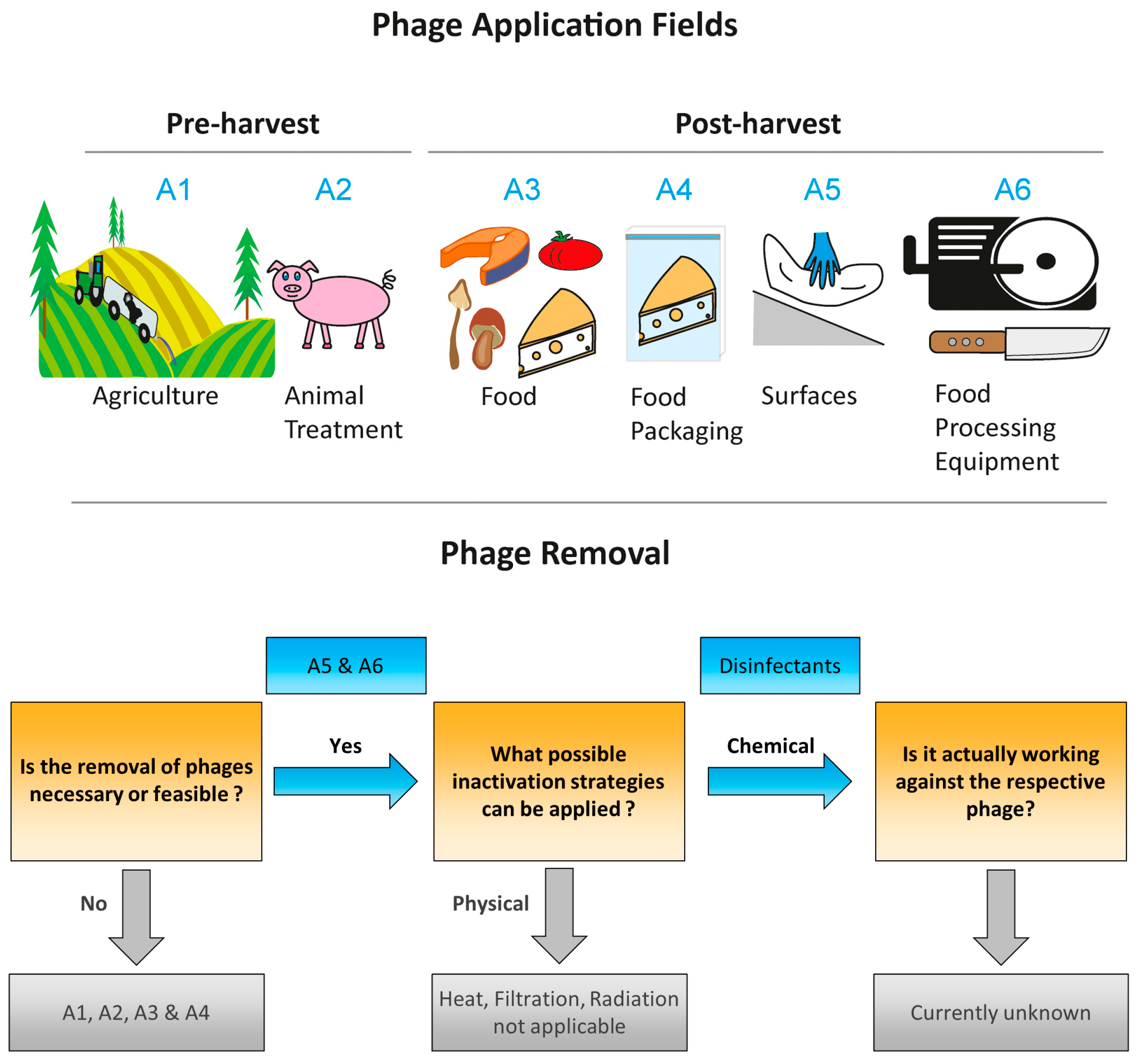 Viruses 11 00468 g002