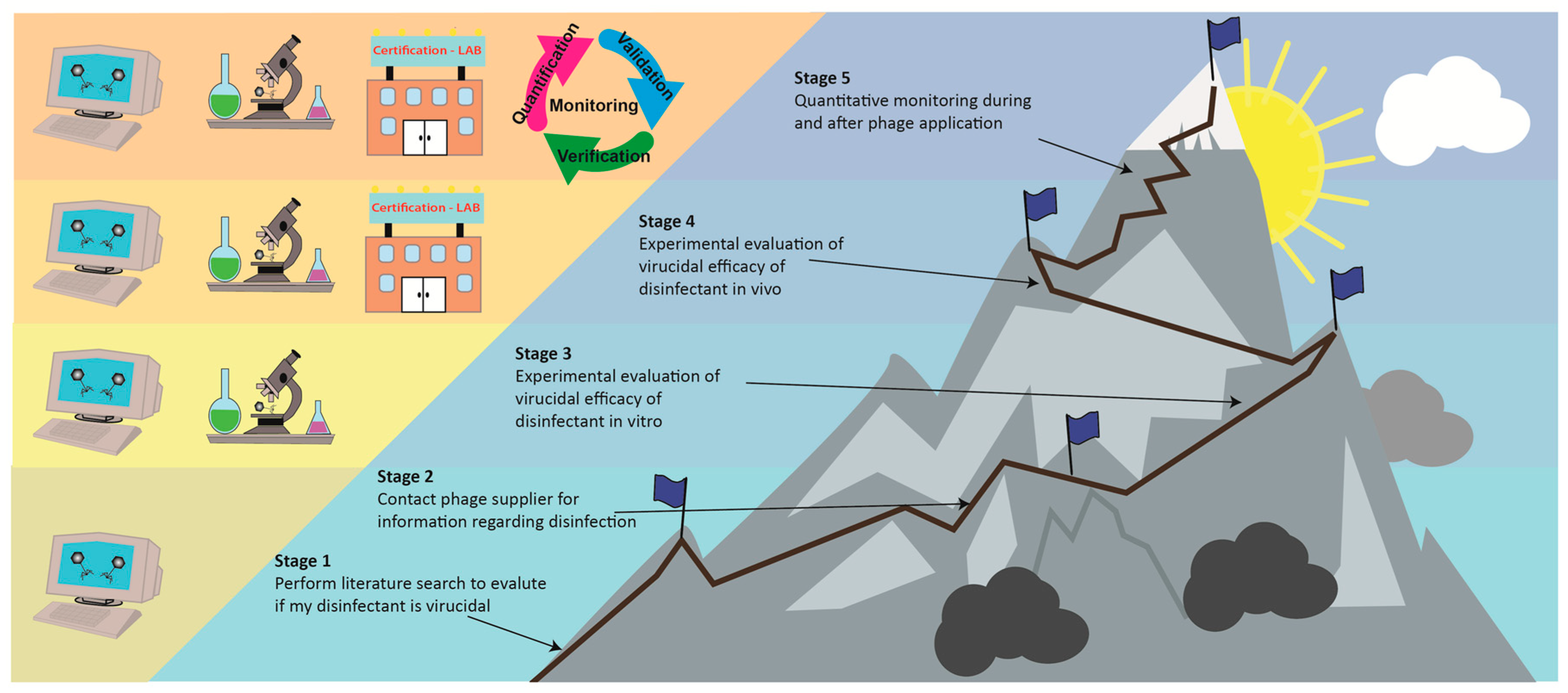 Viruses 11 00468 g003