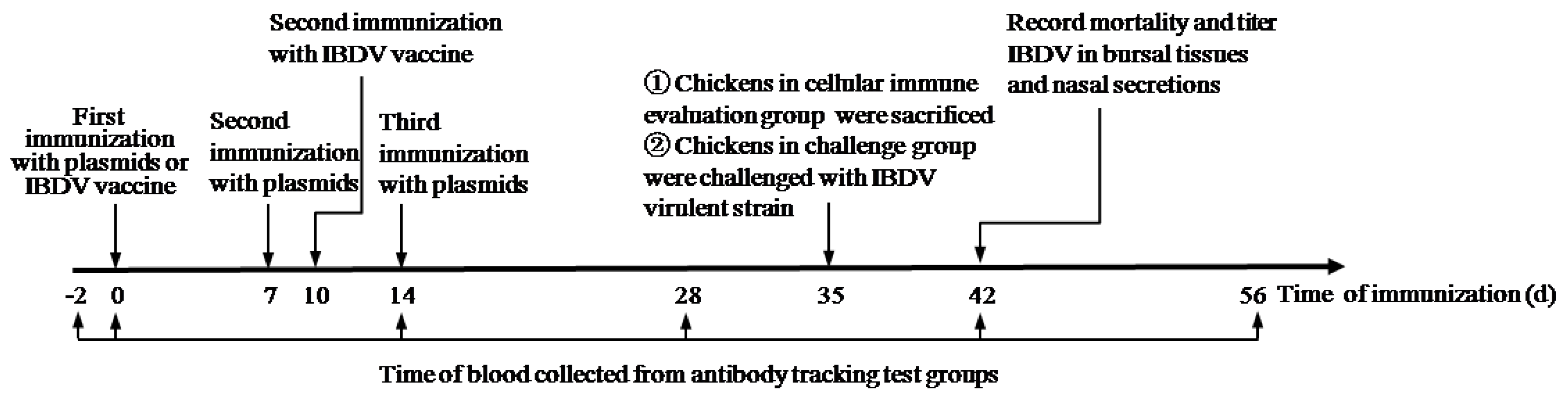 Viruses 11 00476 g001 Viruses 11 00476 g001